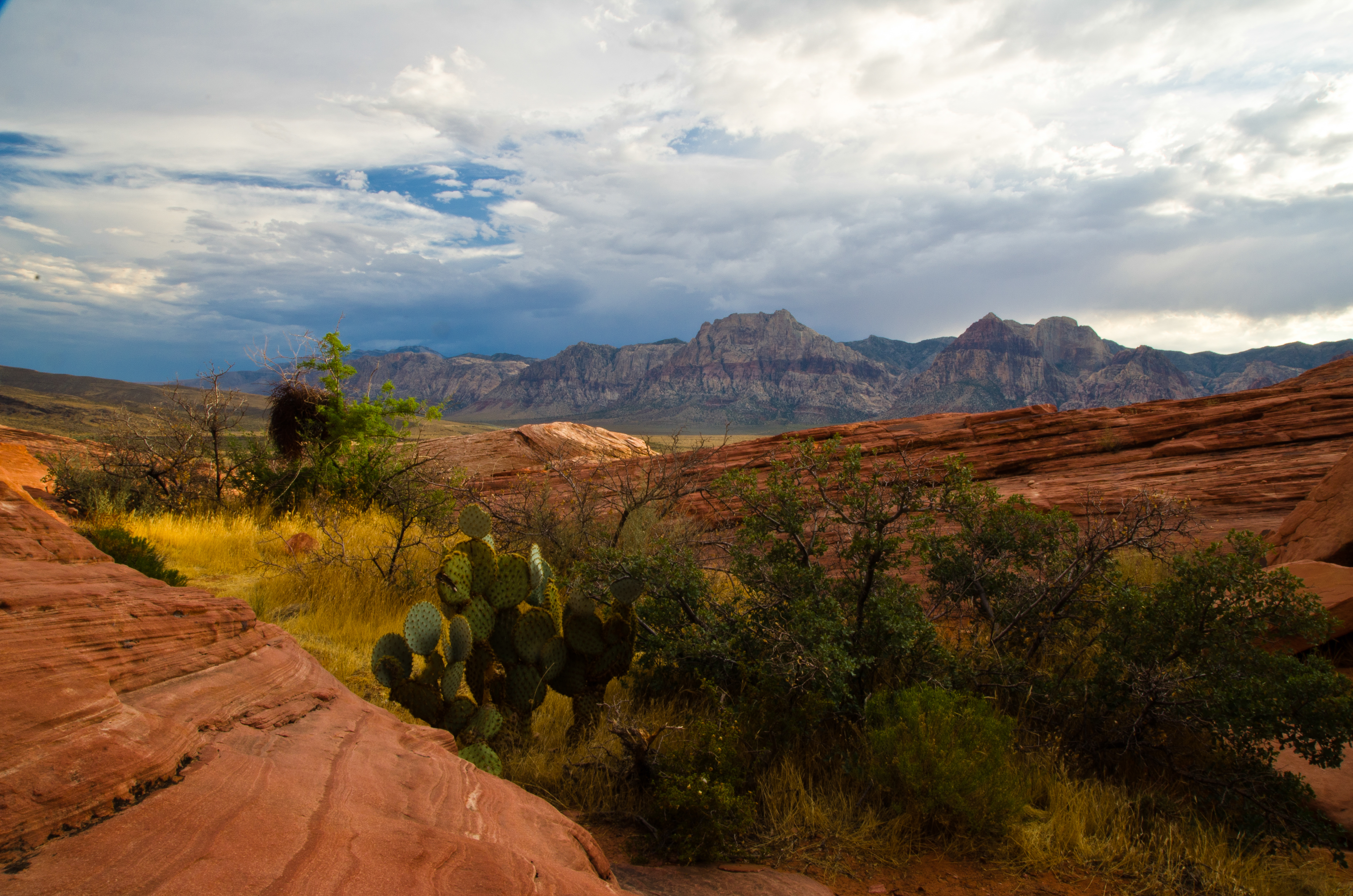 Sunset at Red Rock Canyon National Conservation Area (19355937674)
