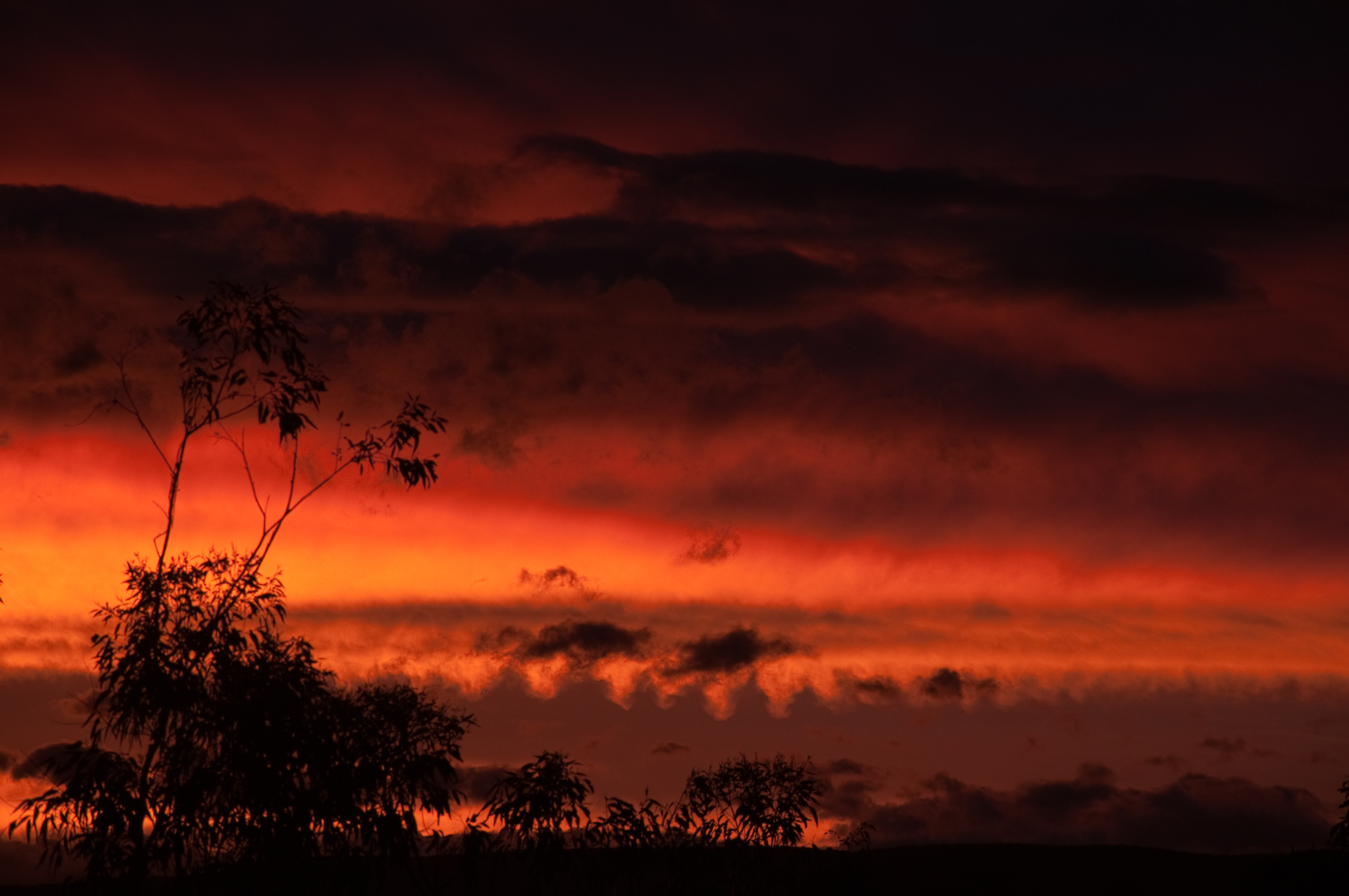 Sunset Tonight (6368528119)