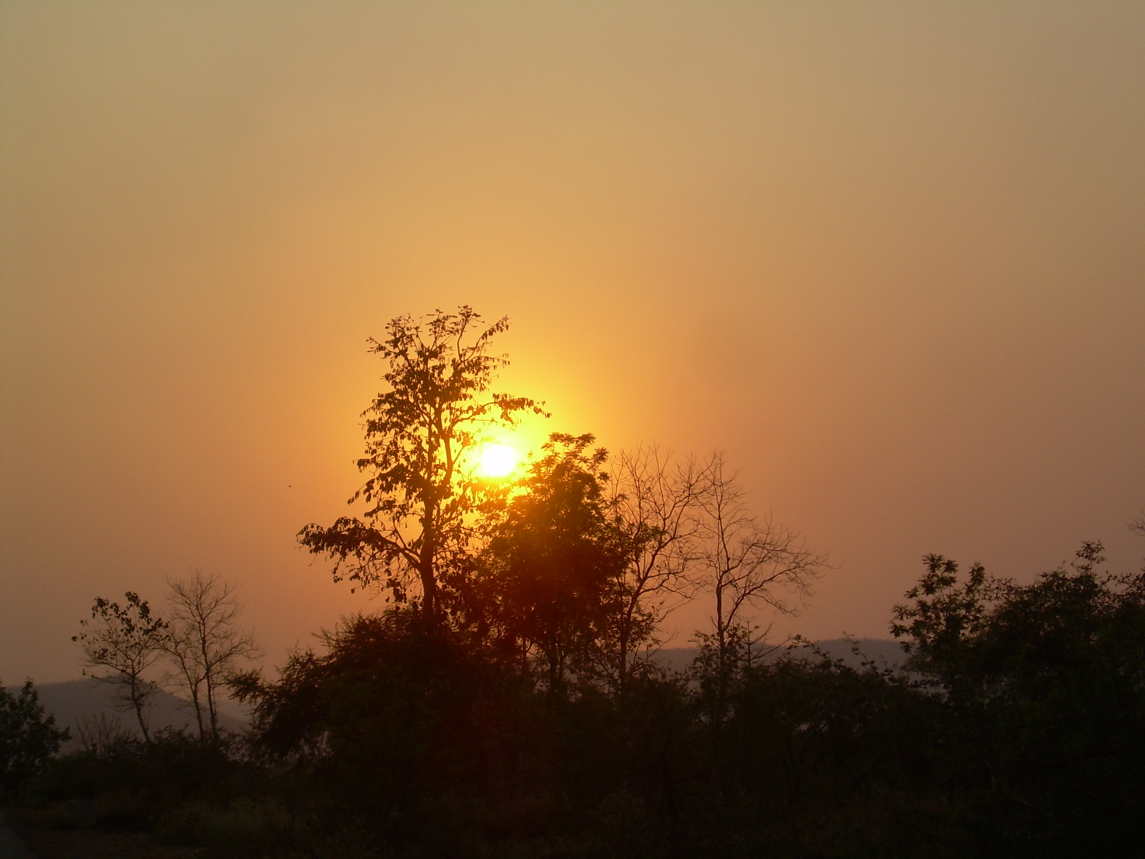 Sunset Trview