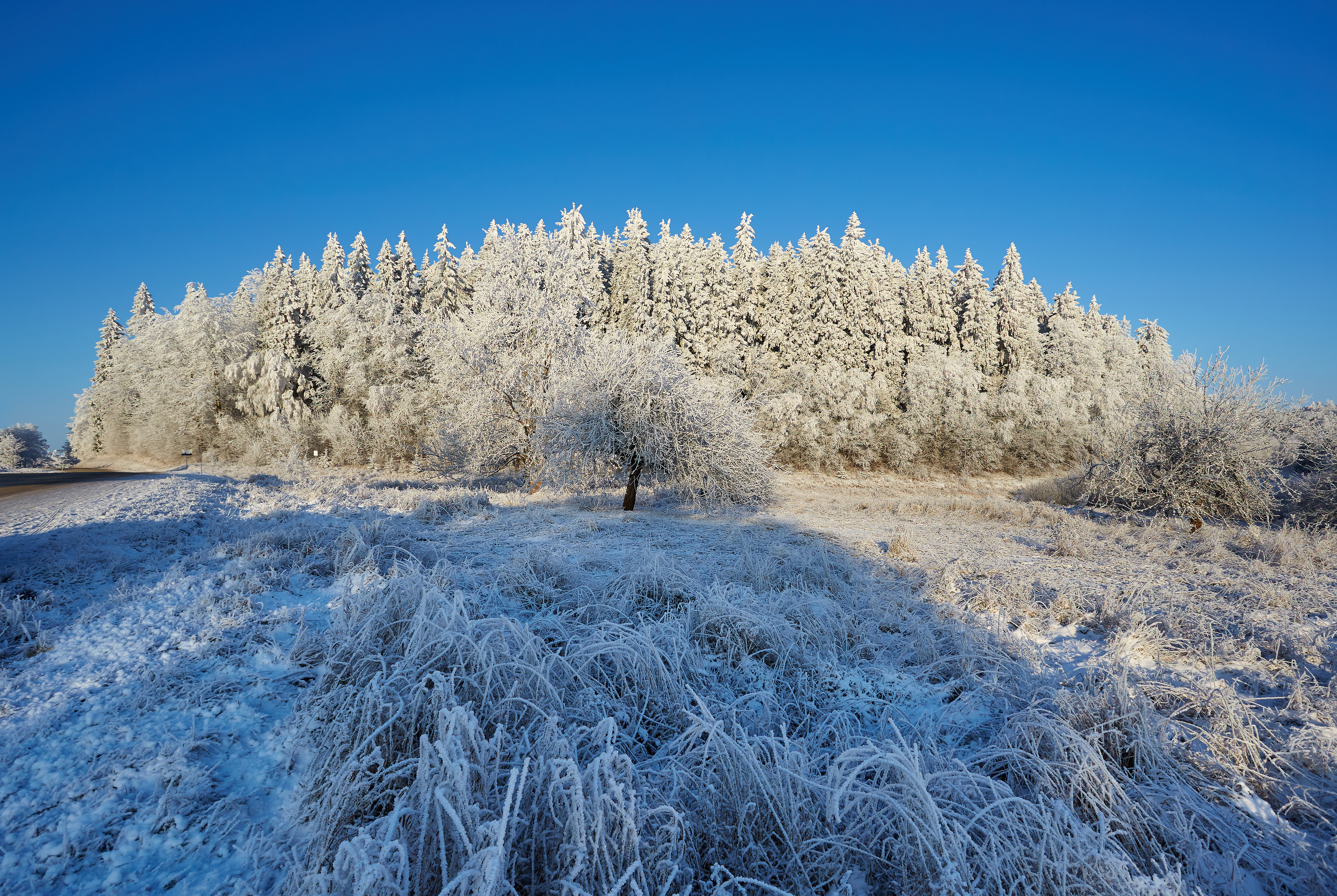 Suur Munamägi 2014 11