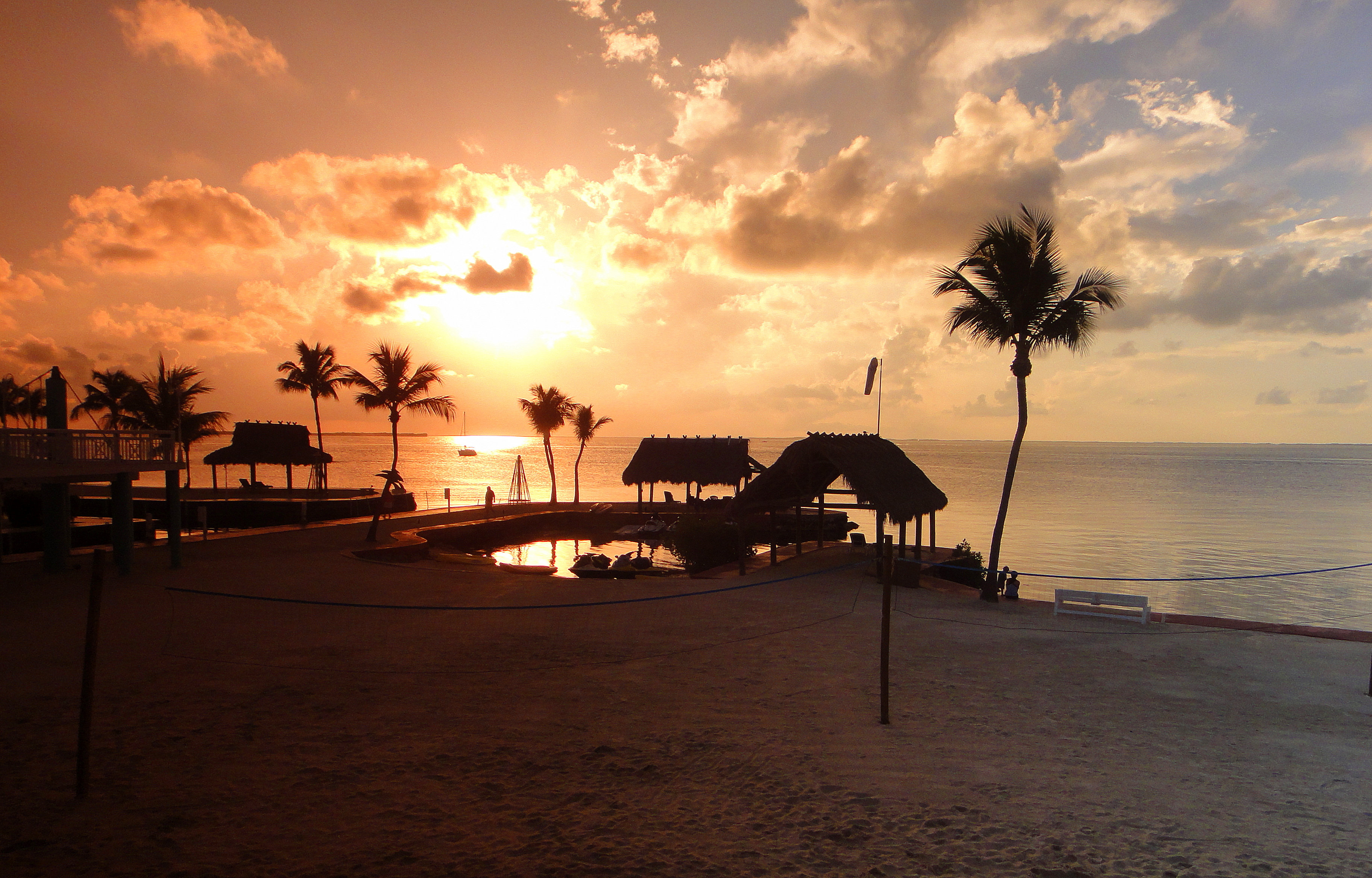 Take me back (6134166454)