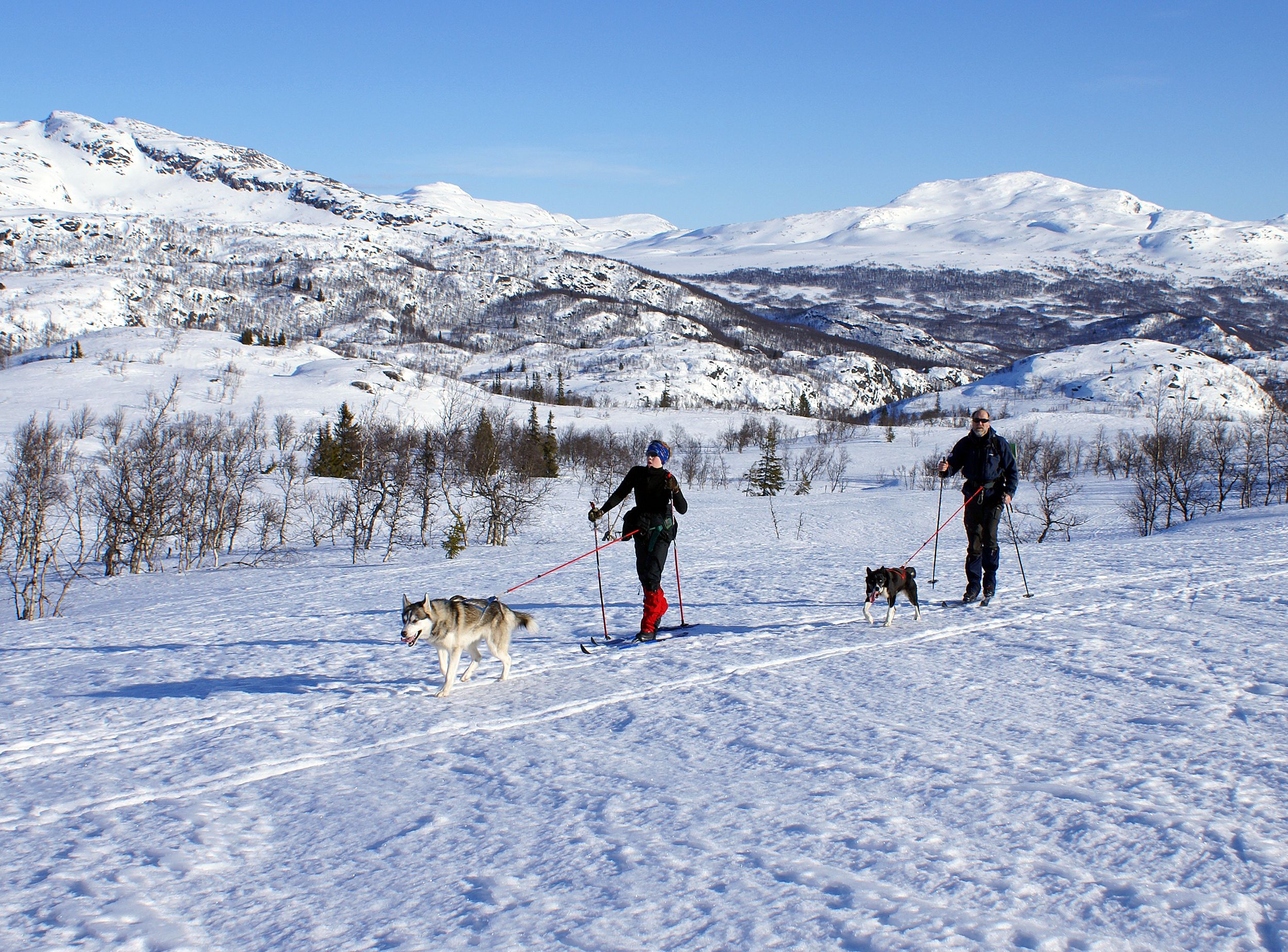 Telemark at its best? (2302014461)