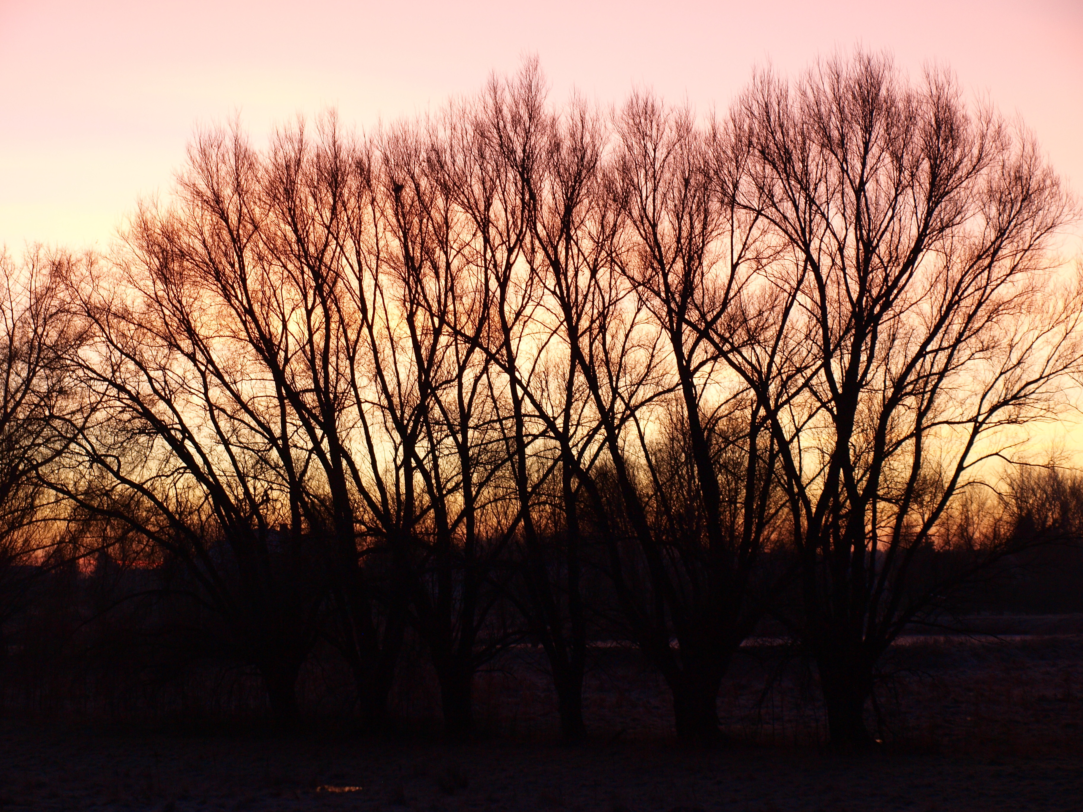 The view from my window 13
