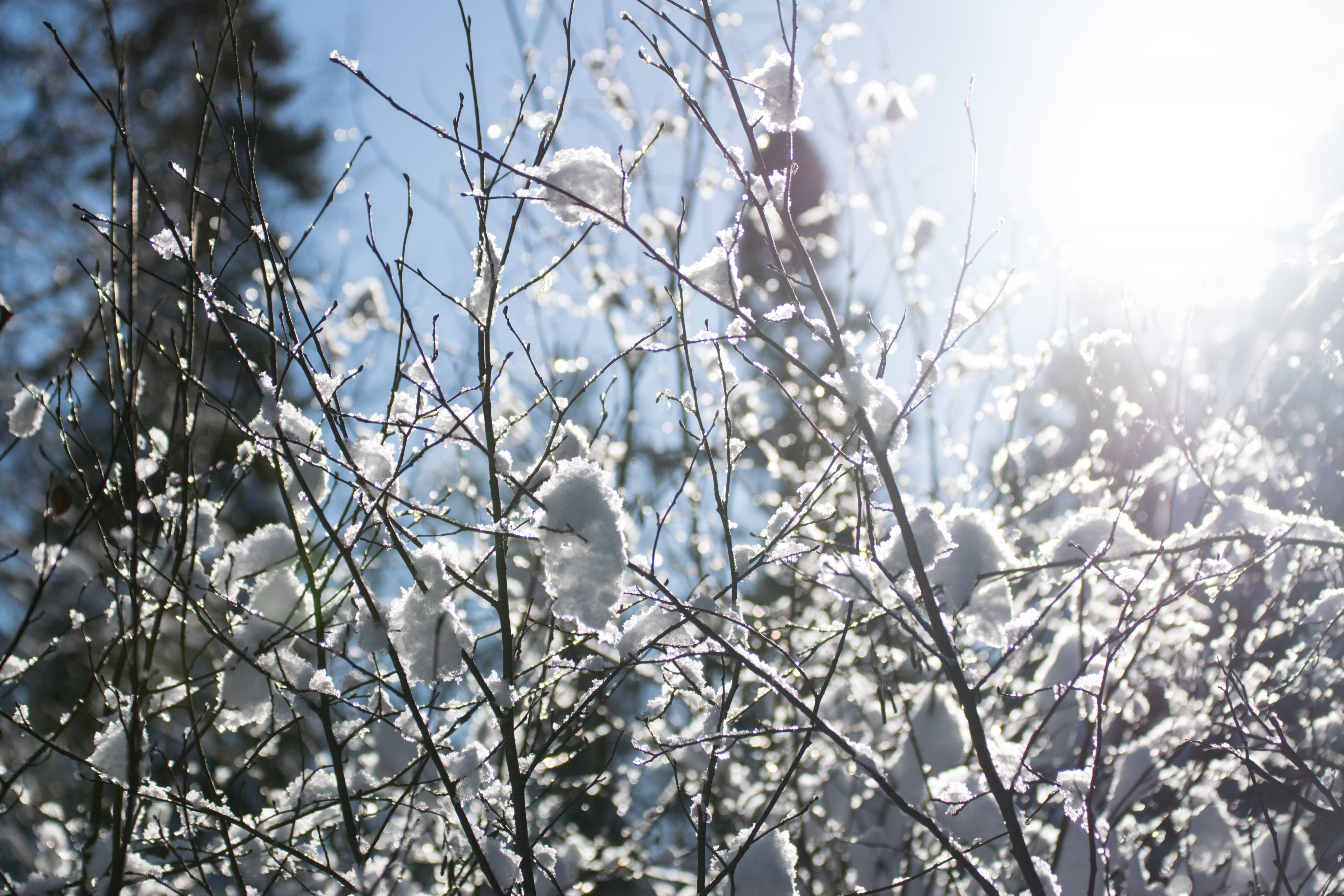 2016-12 Monts Valin winter 03