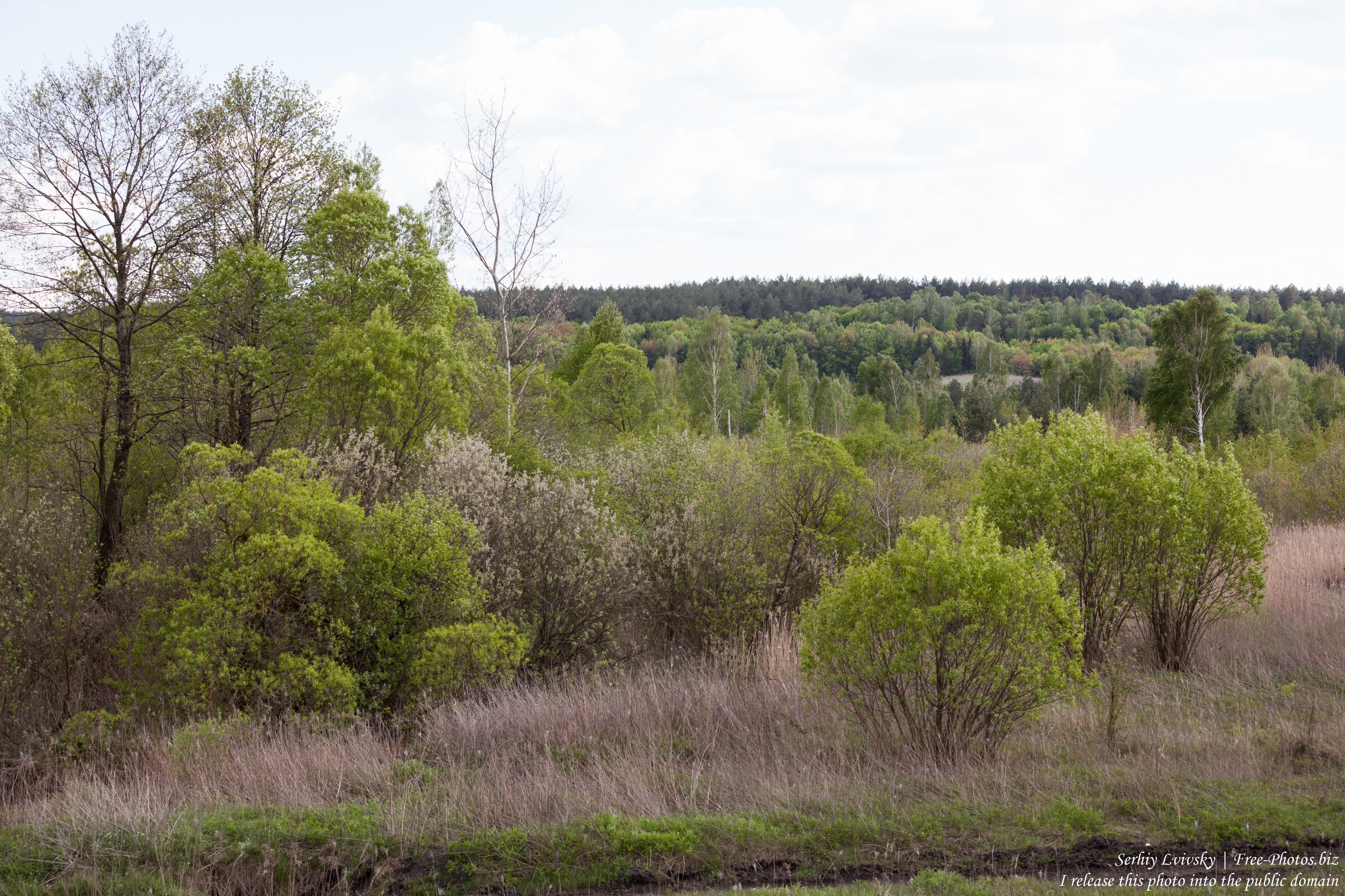 a landscape in the west of Ukraine in May 2016, picture 1