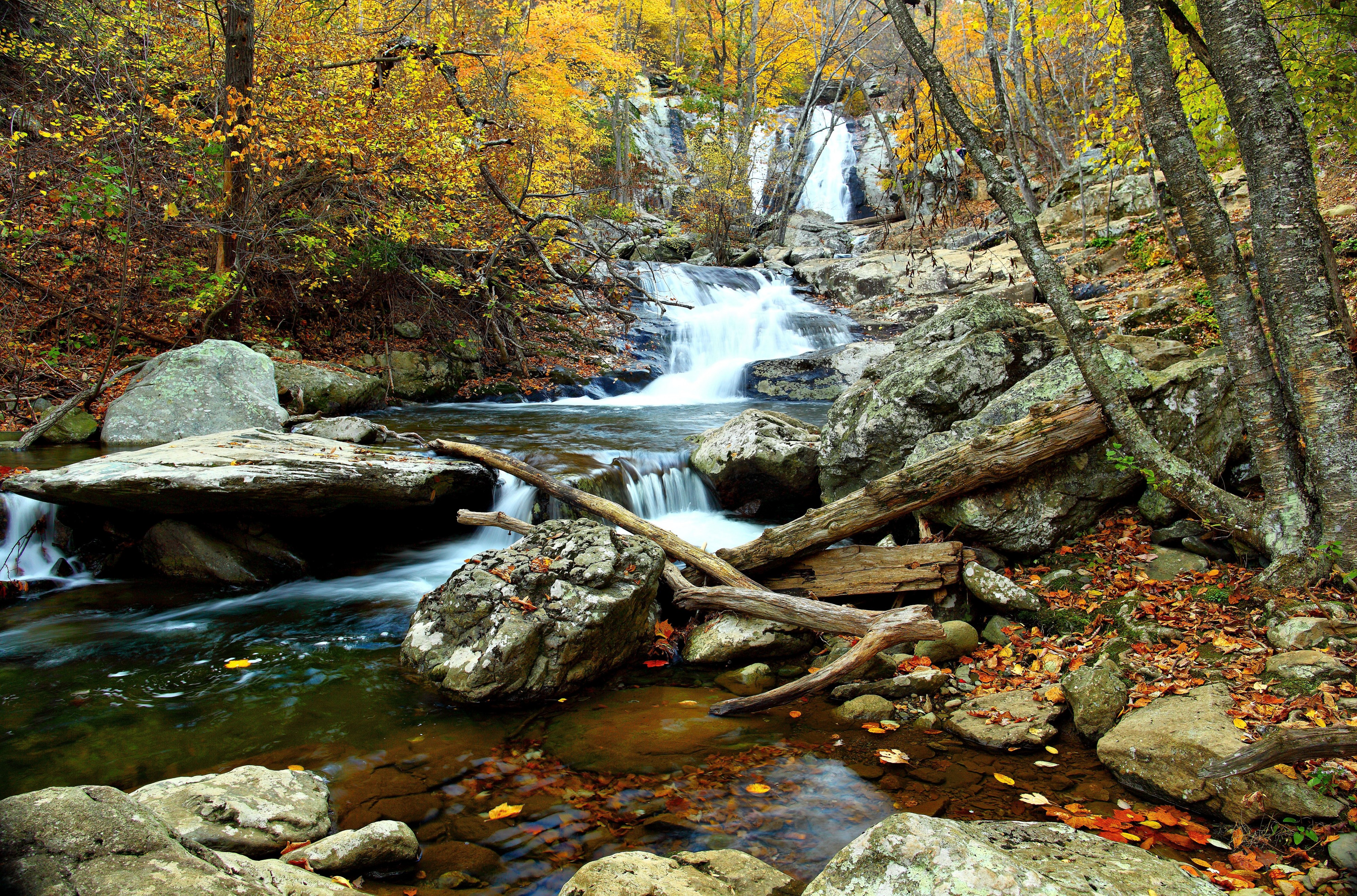 Autumn-clear-water-waterfall-landscape - Virginia - ForestWander