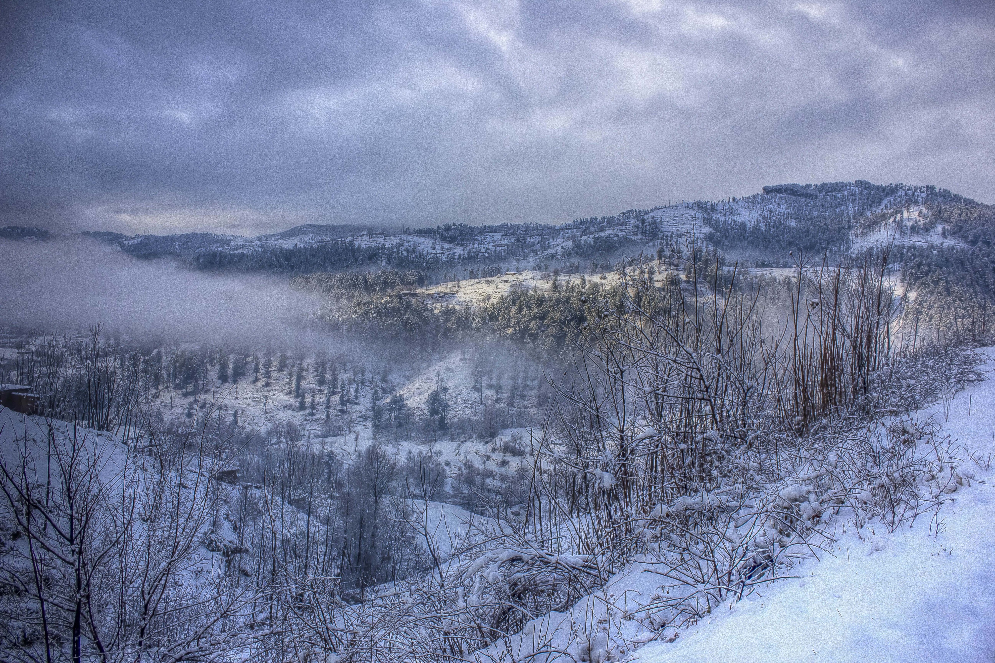 Battagram