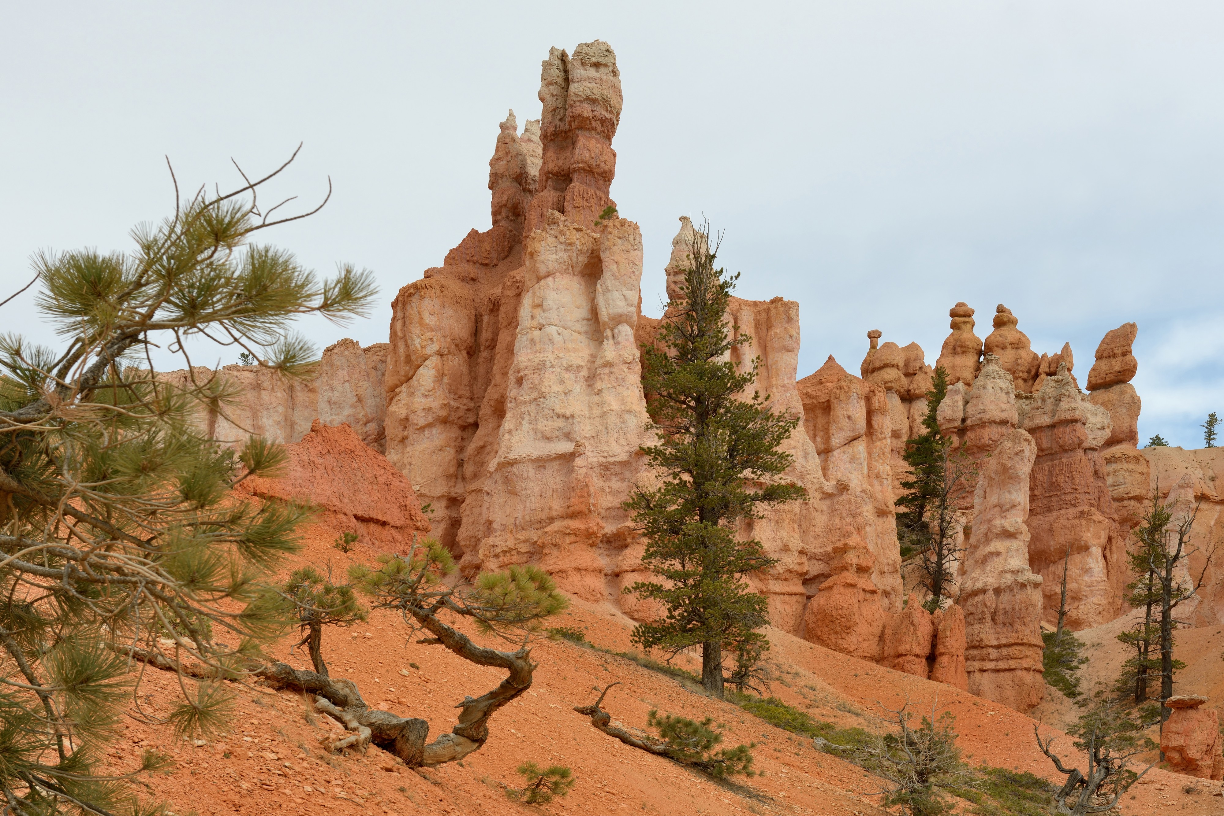 Bryce Canyon USA october 2012 b
