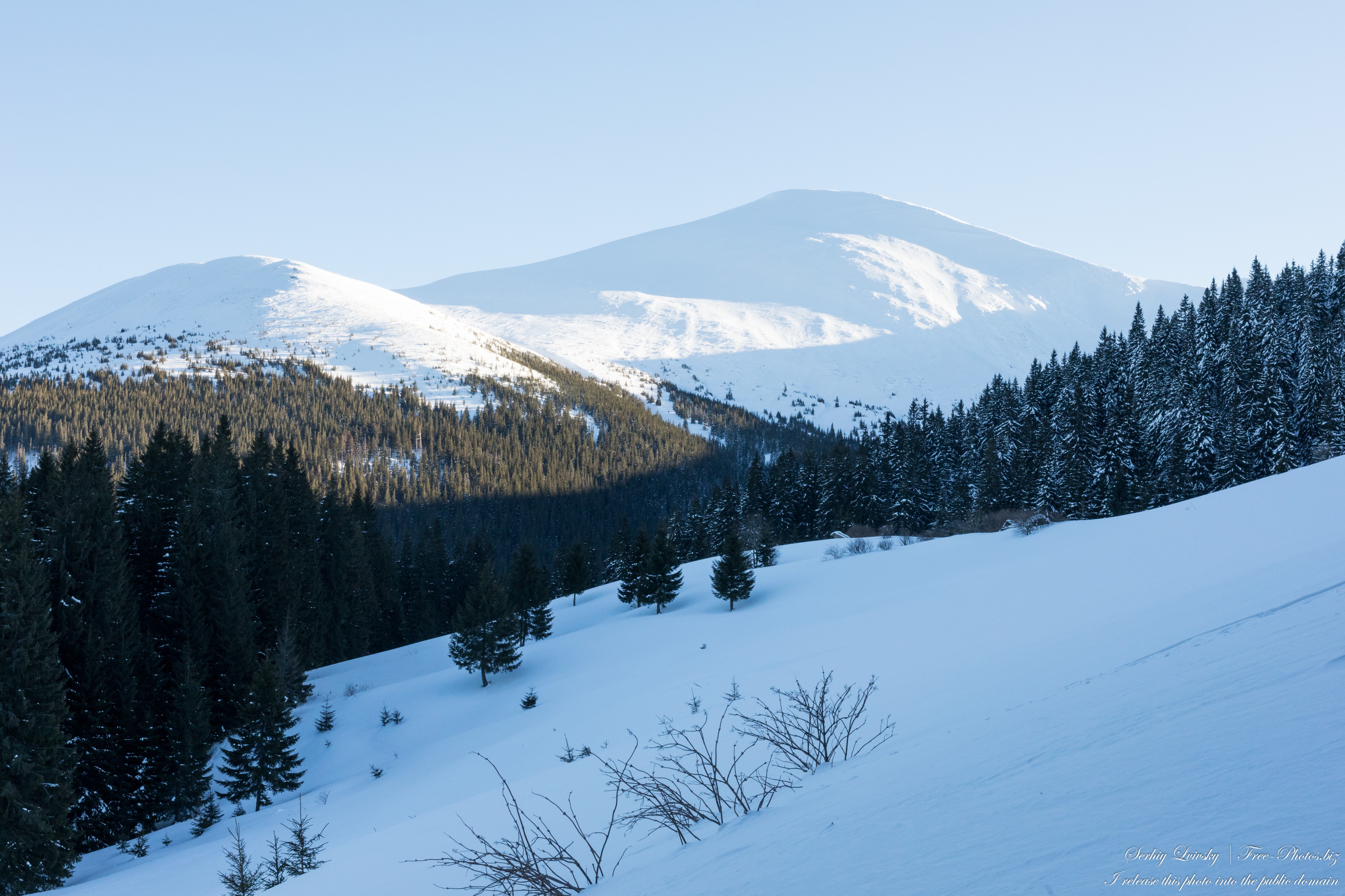 Carpathians photographed by Serhiy Lvivsky in February 2022, picture 70