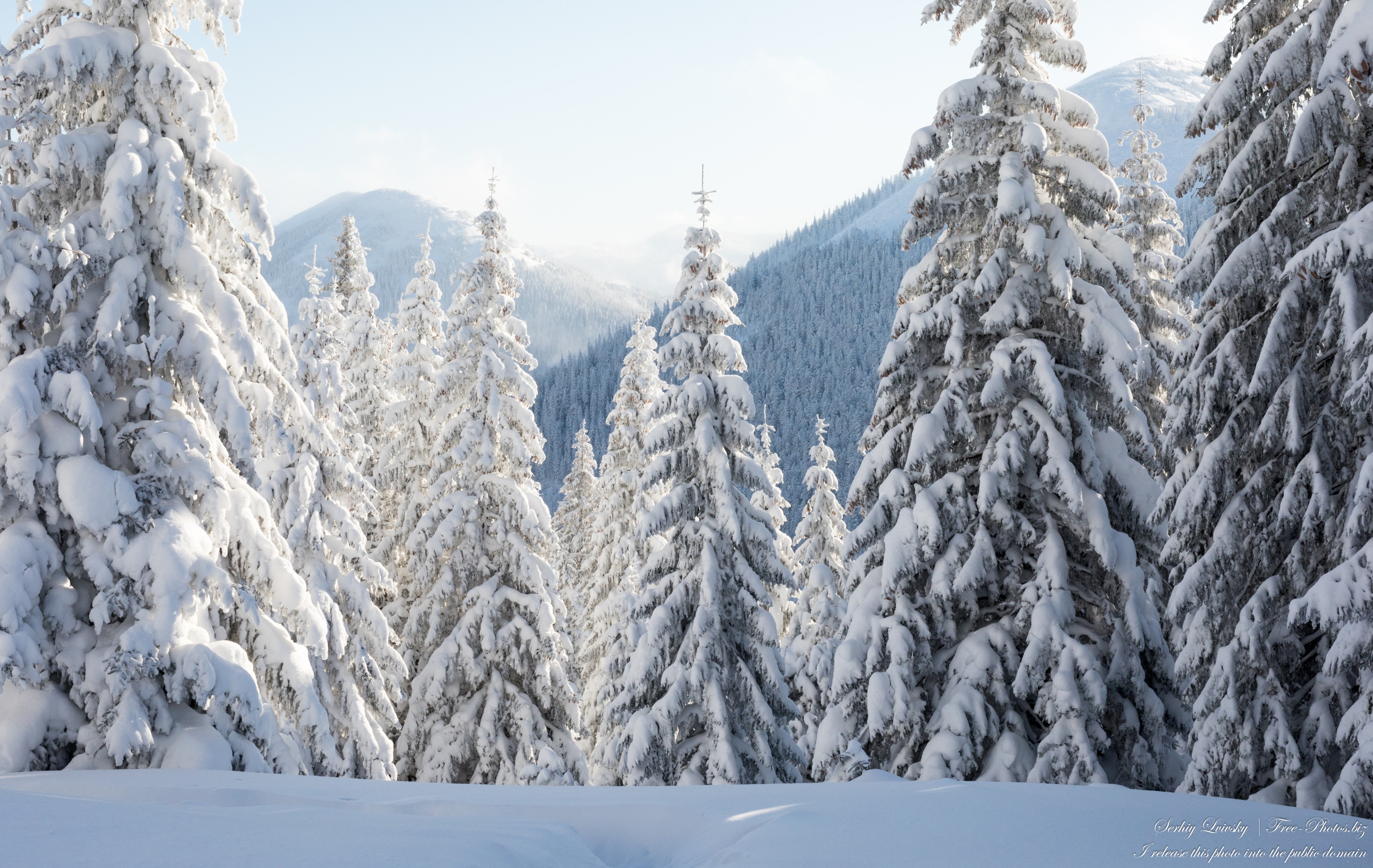 Carpathians in Ukraine photographed in February 2023 by Serhiy Lvivsky, picture 32