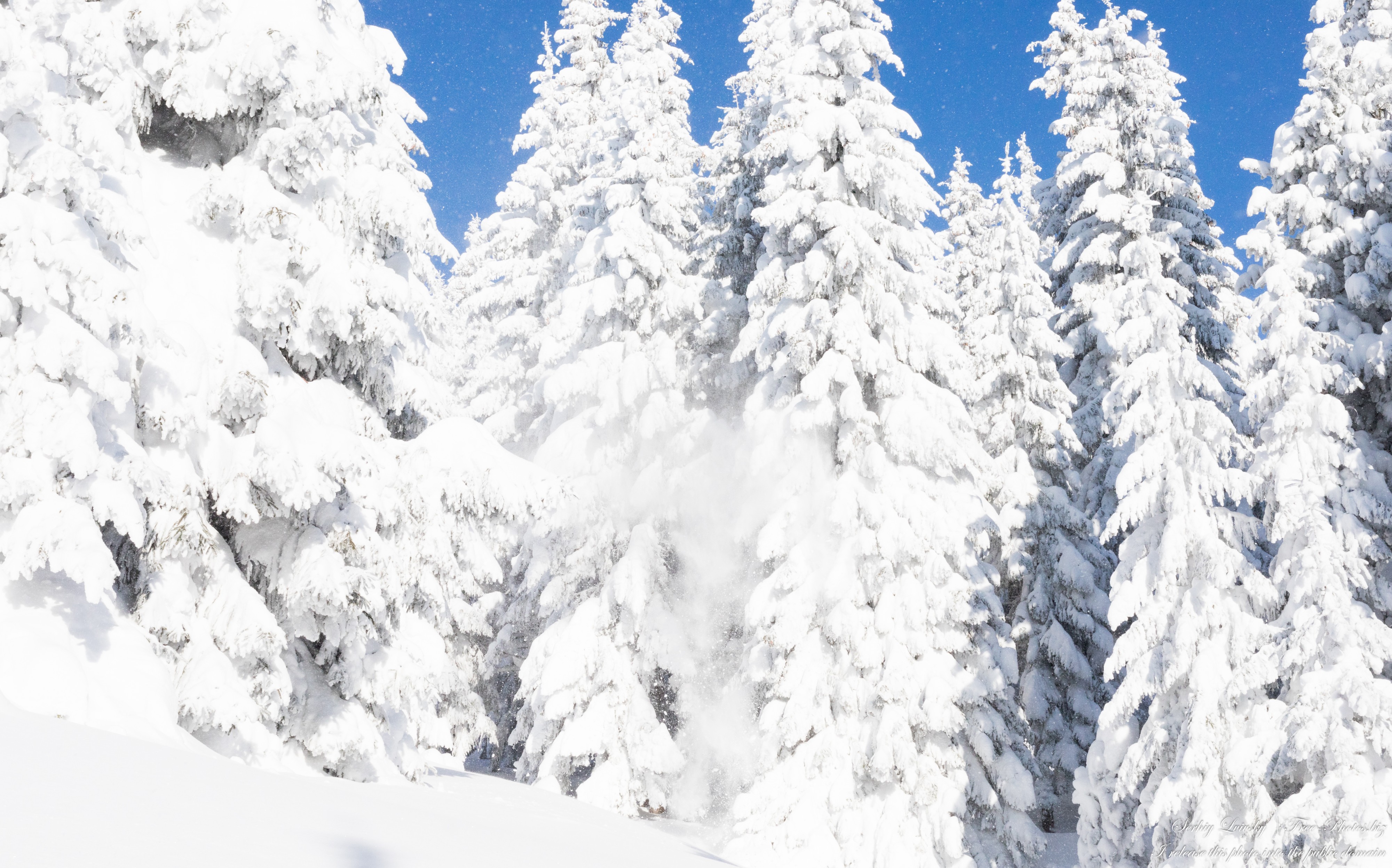 Carpathians in Ukraine photographed in February 2023 by Serhiy Lvivsky, picture 34
