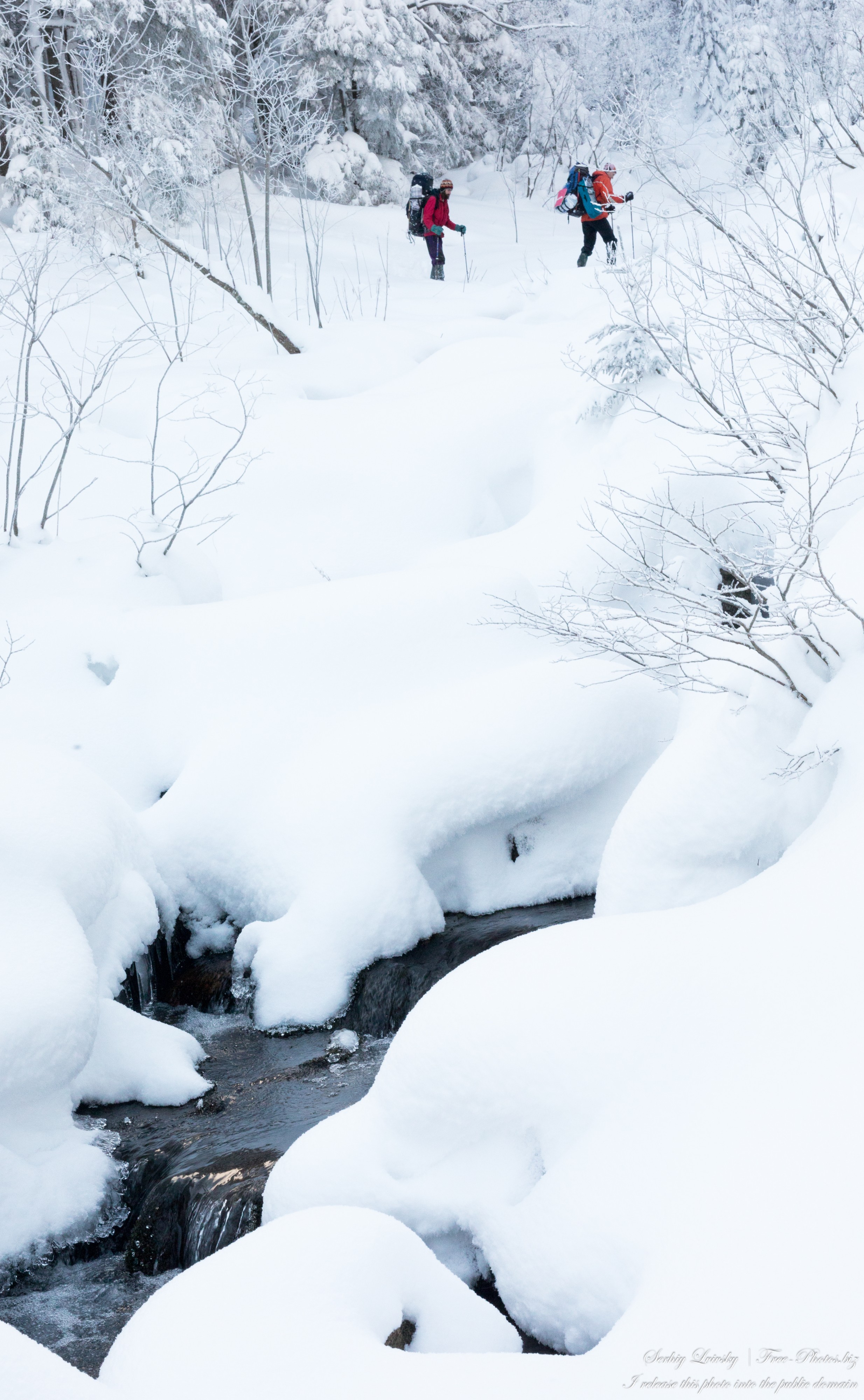 Carpathians in Ukraine photographed in February 2023 by Serhiy Lvivsky, picture 44