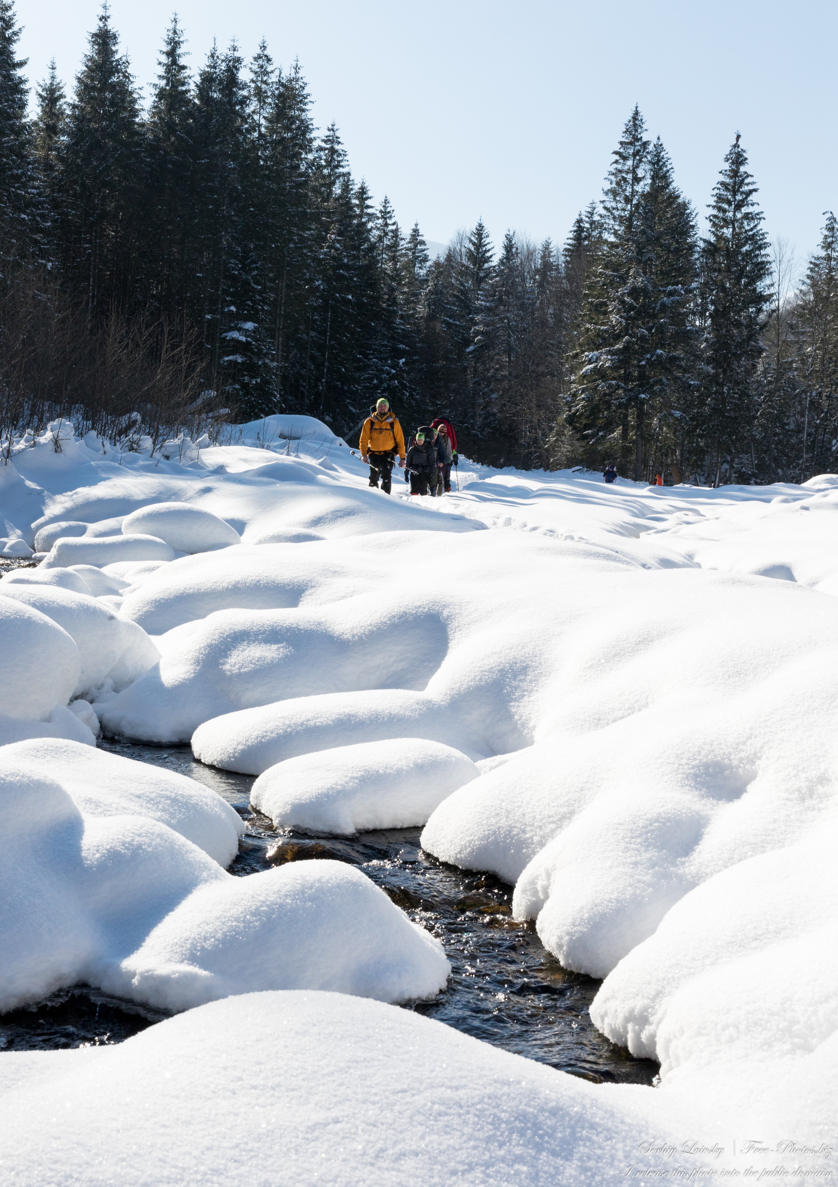 Carpathians in Ukraine photographed in February 2023 by Serhiy Lvivsky, picture 47