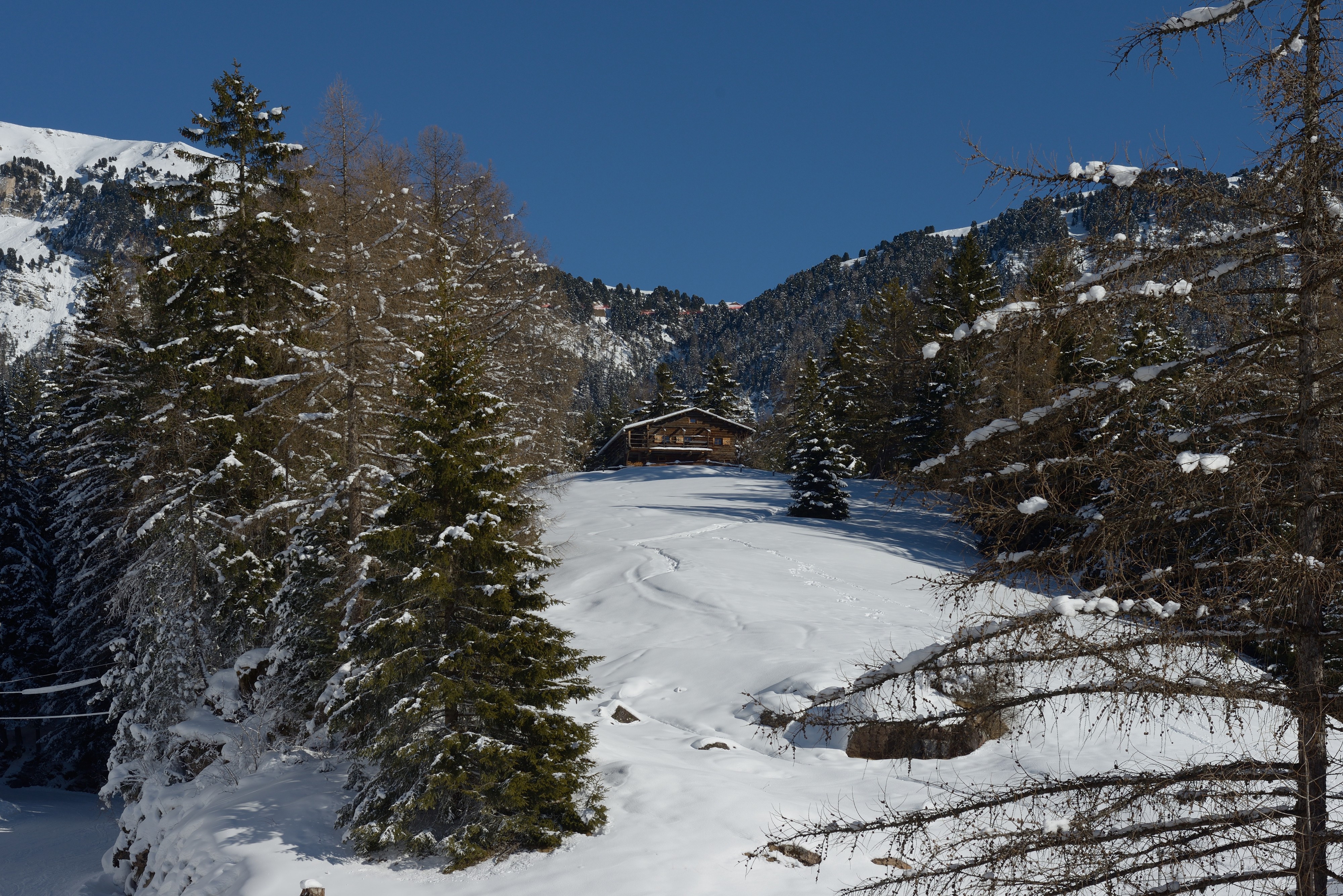 Costamula de seura im Winter