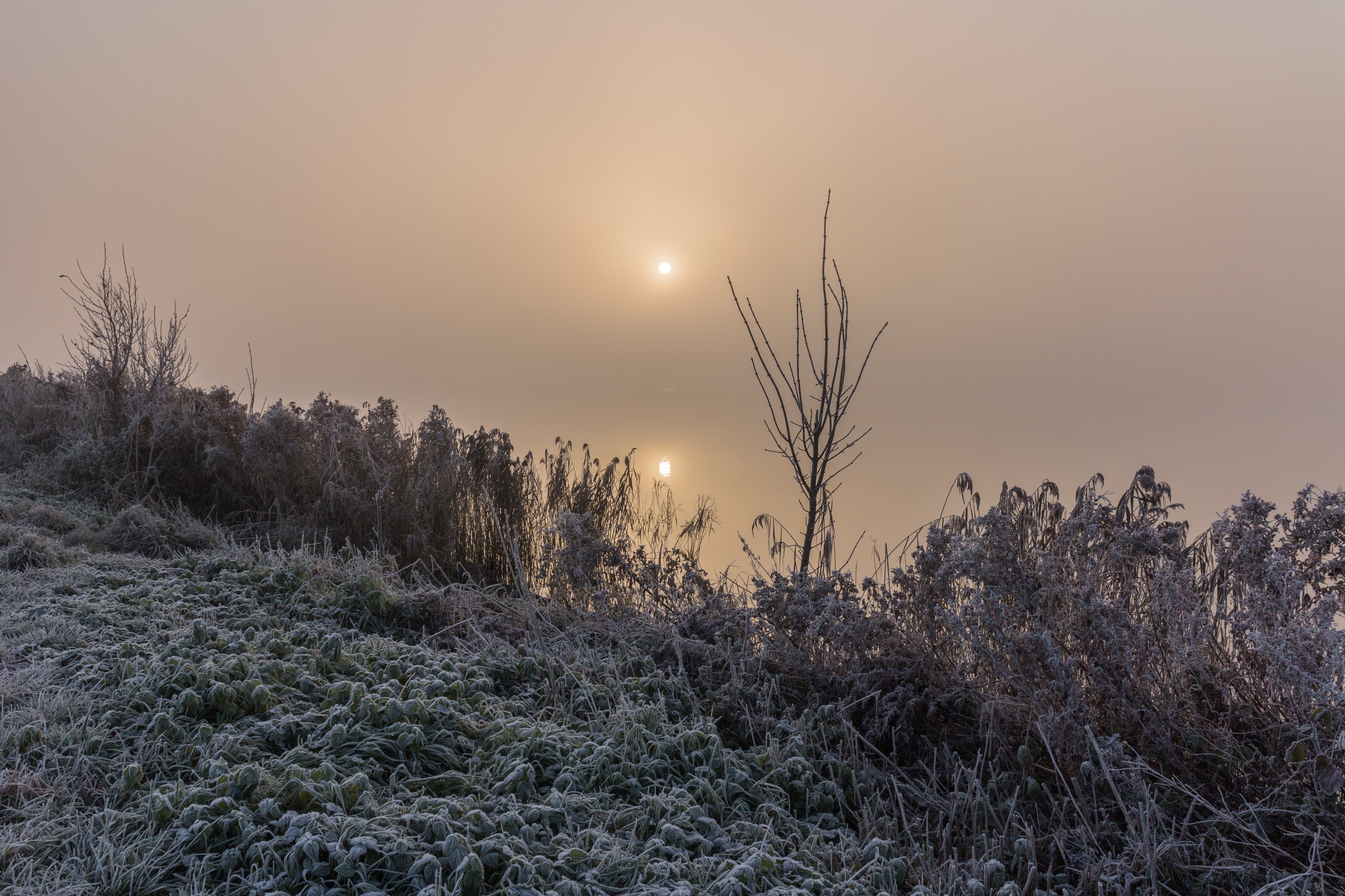 De zon probeert door de mist te breken. Locatie, Langweerderwielen (Langwarder Wielen) en omgeving 05