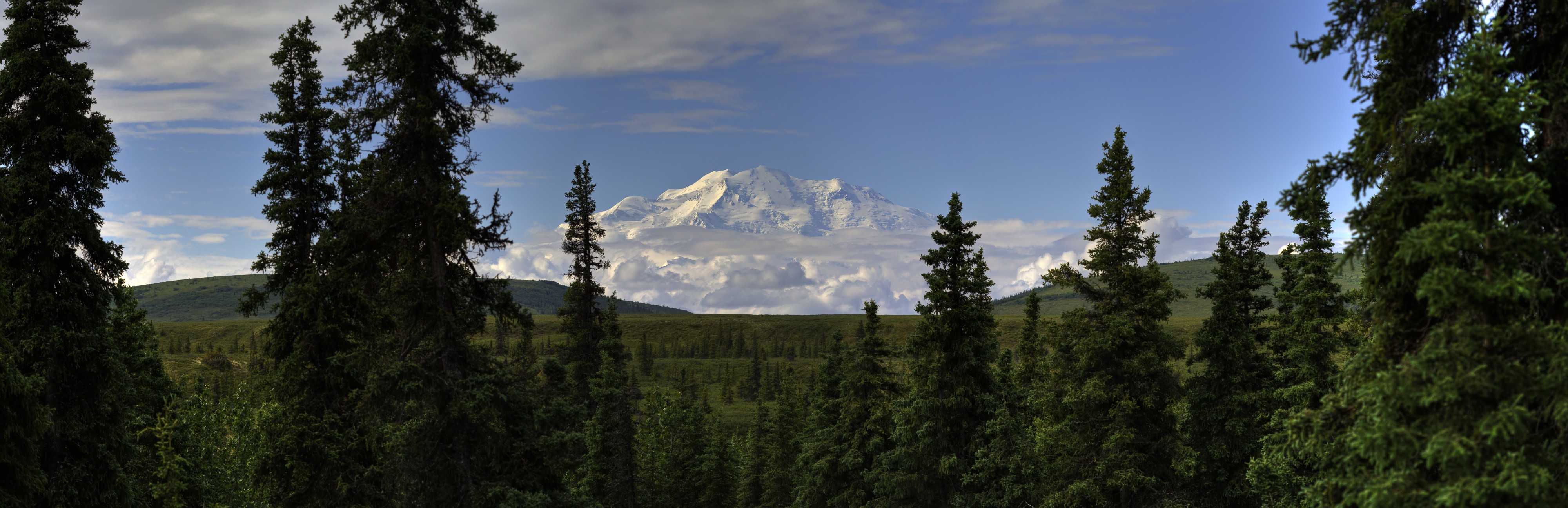 Denali From Kantishna (7956401934)