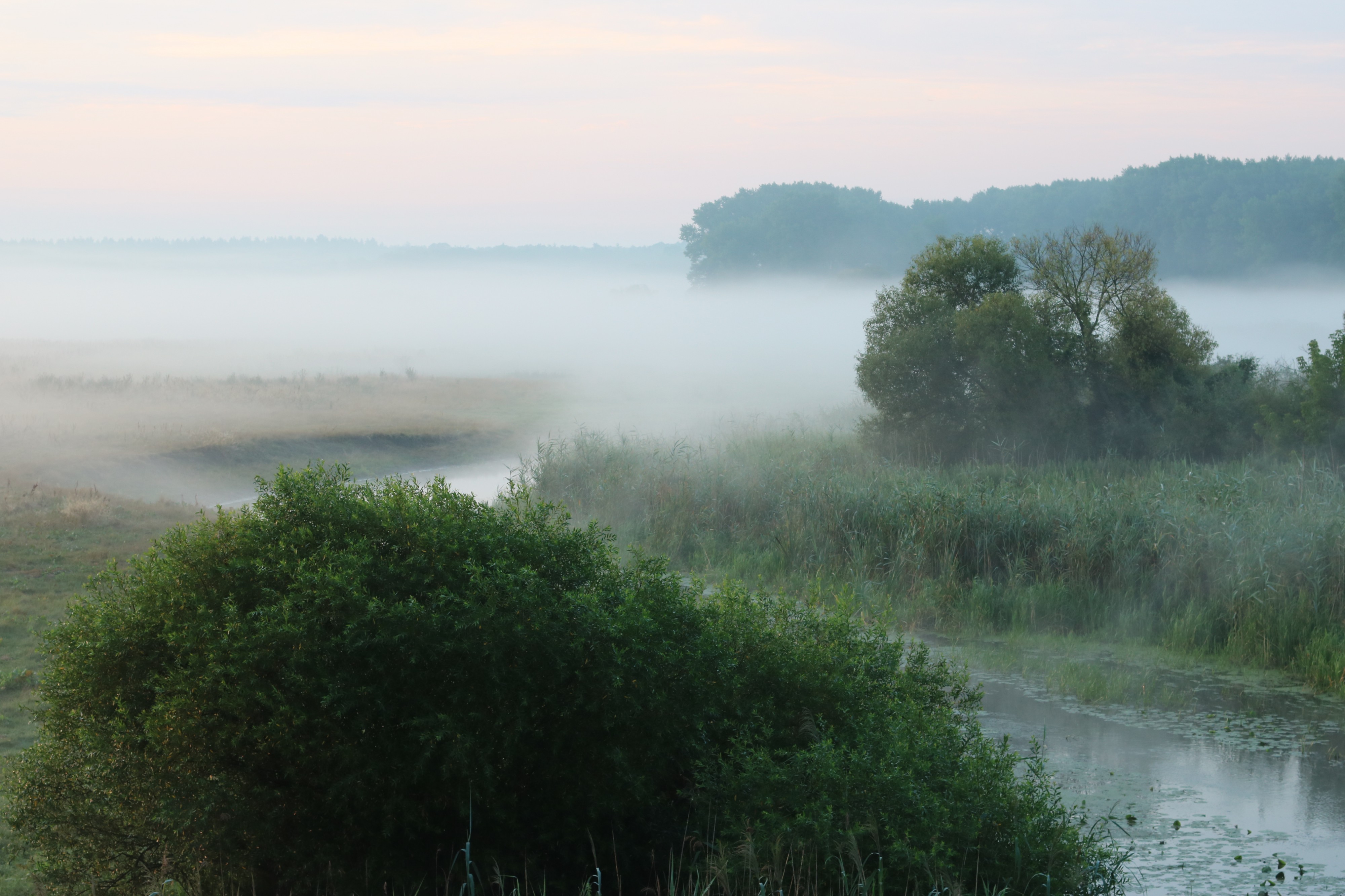Desna river Vinn meadow 2016 G3