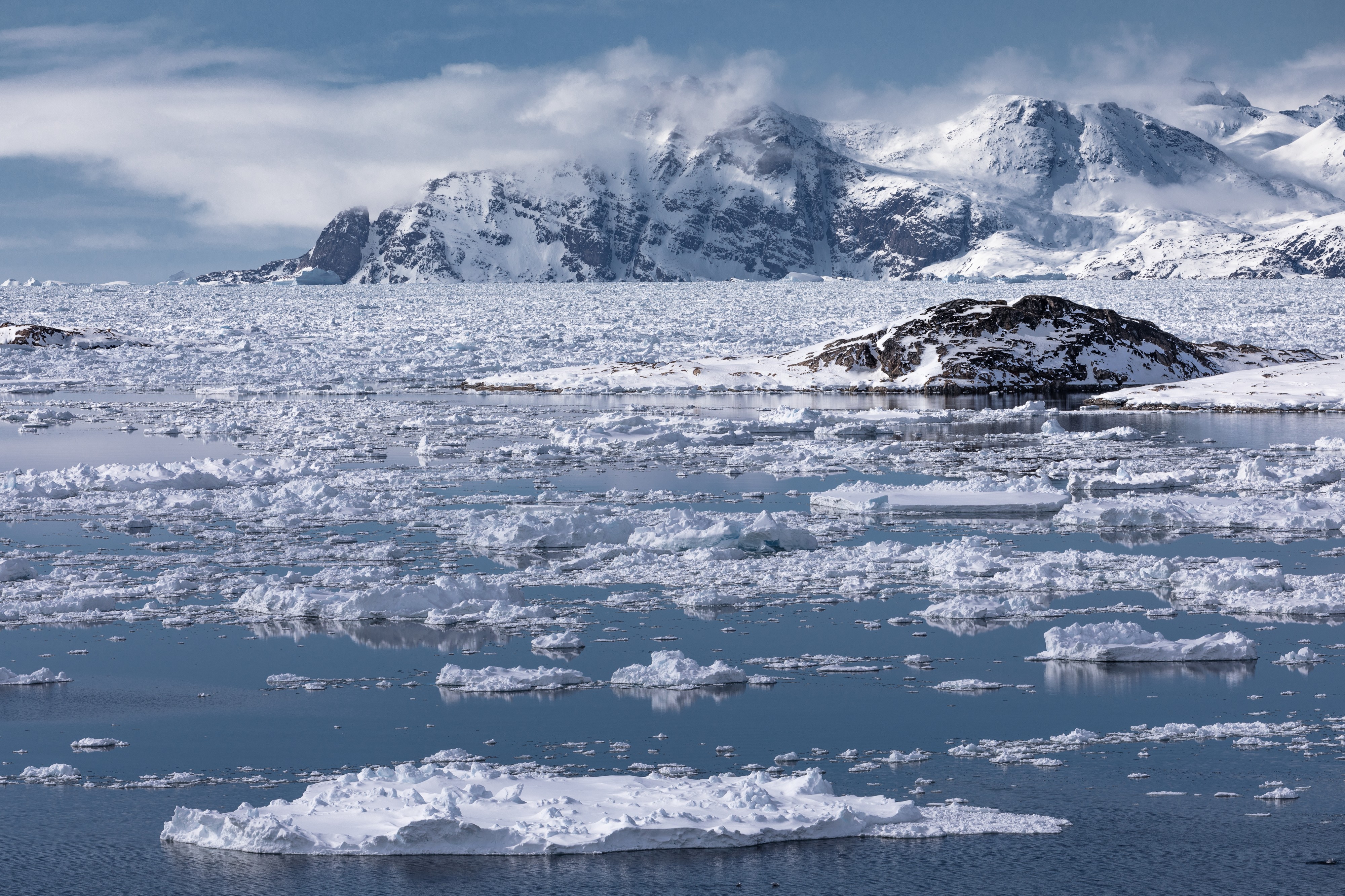 Drift ice (34616163495)