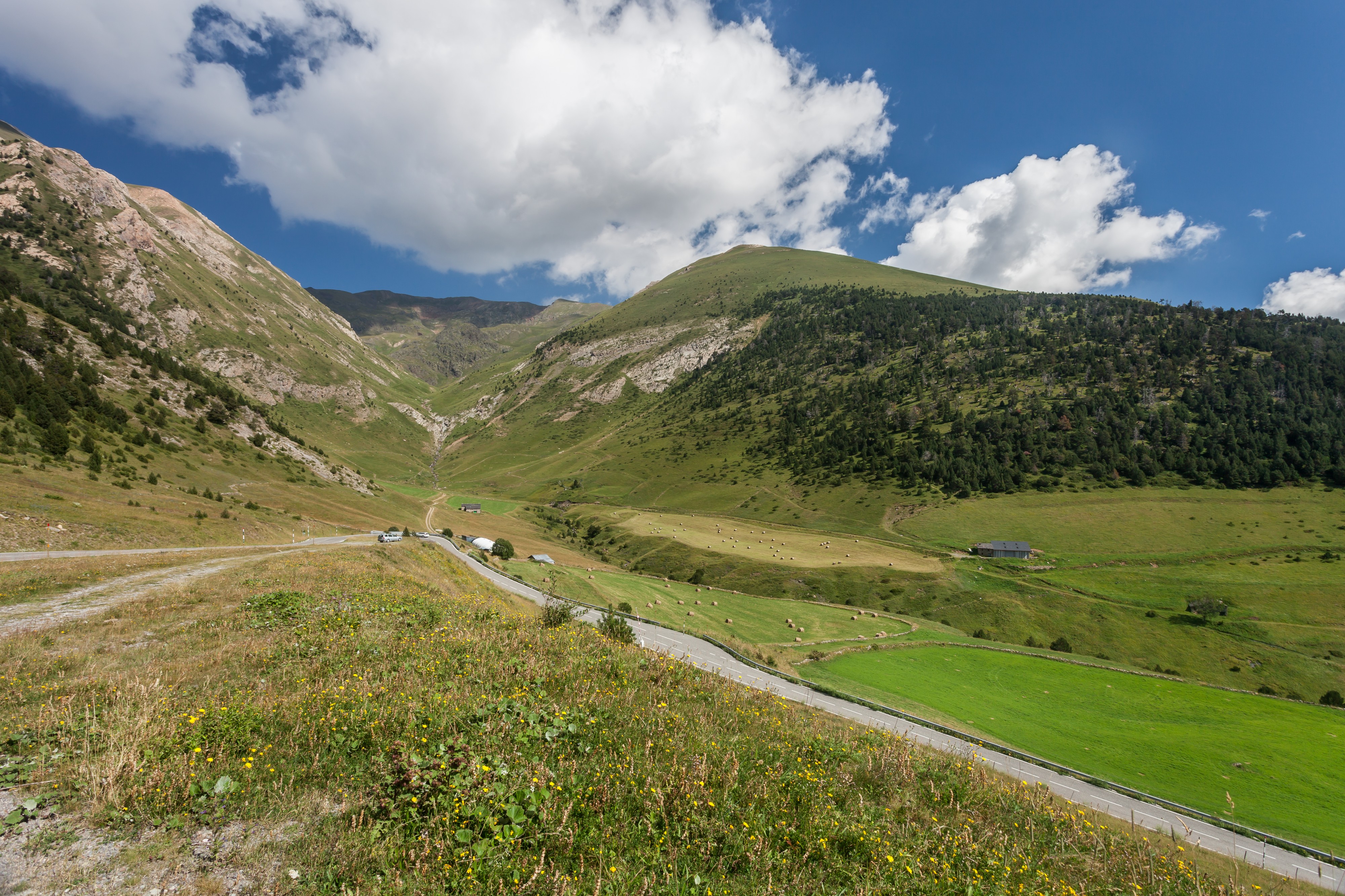 Entre Coll d'Ordino e Canillo. Andorra 33