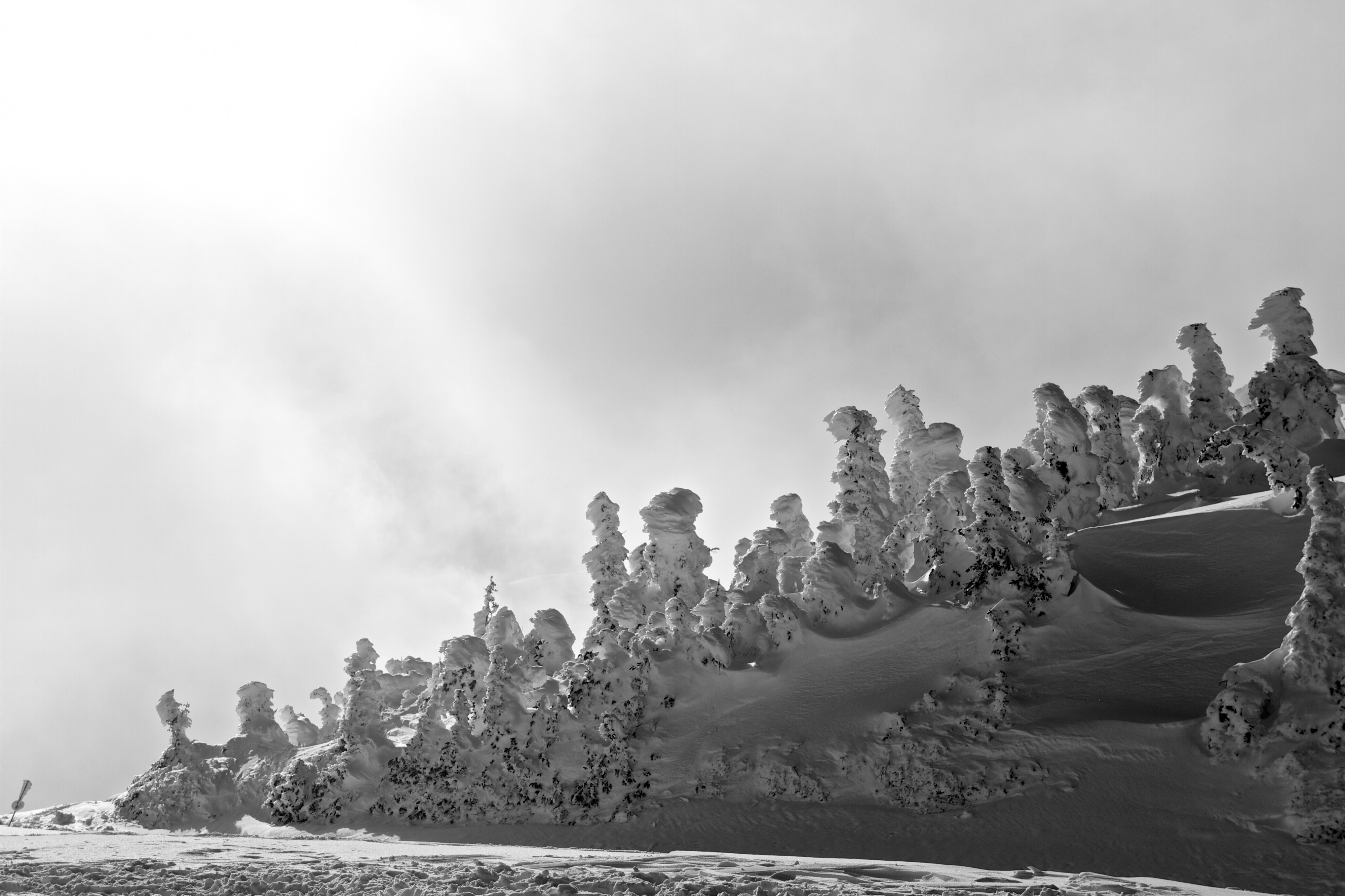 Frozen Commute (14301250895)