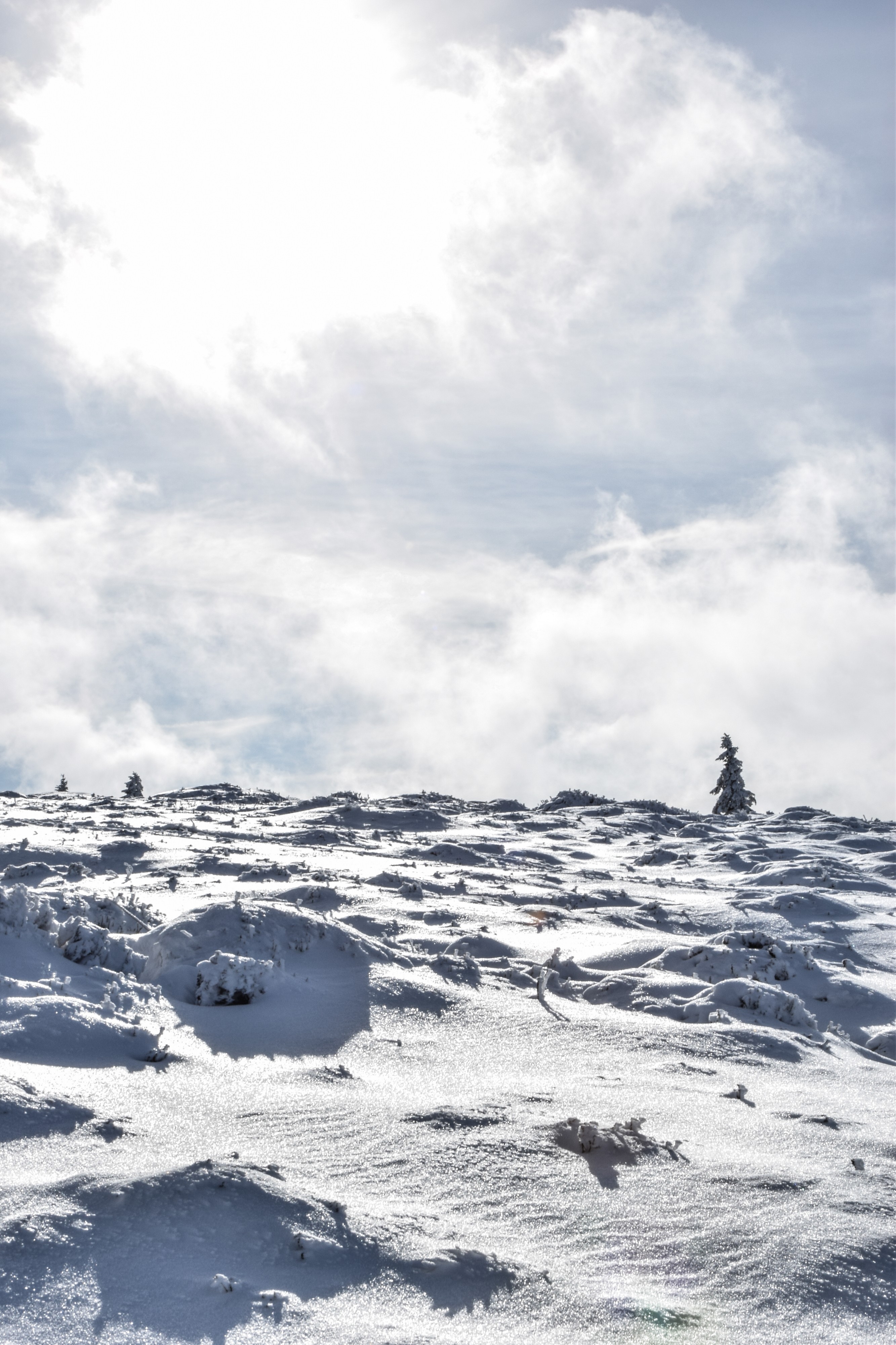 Gazon du Faing neige