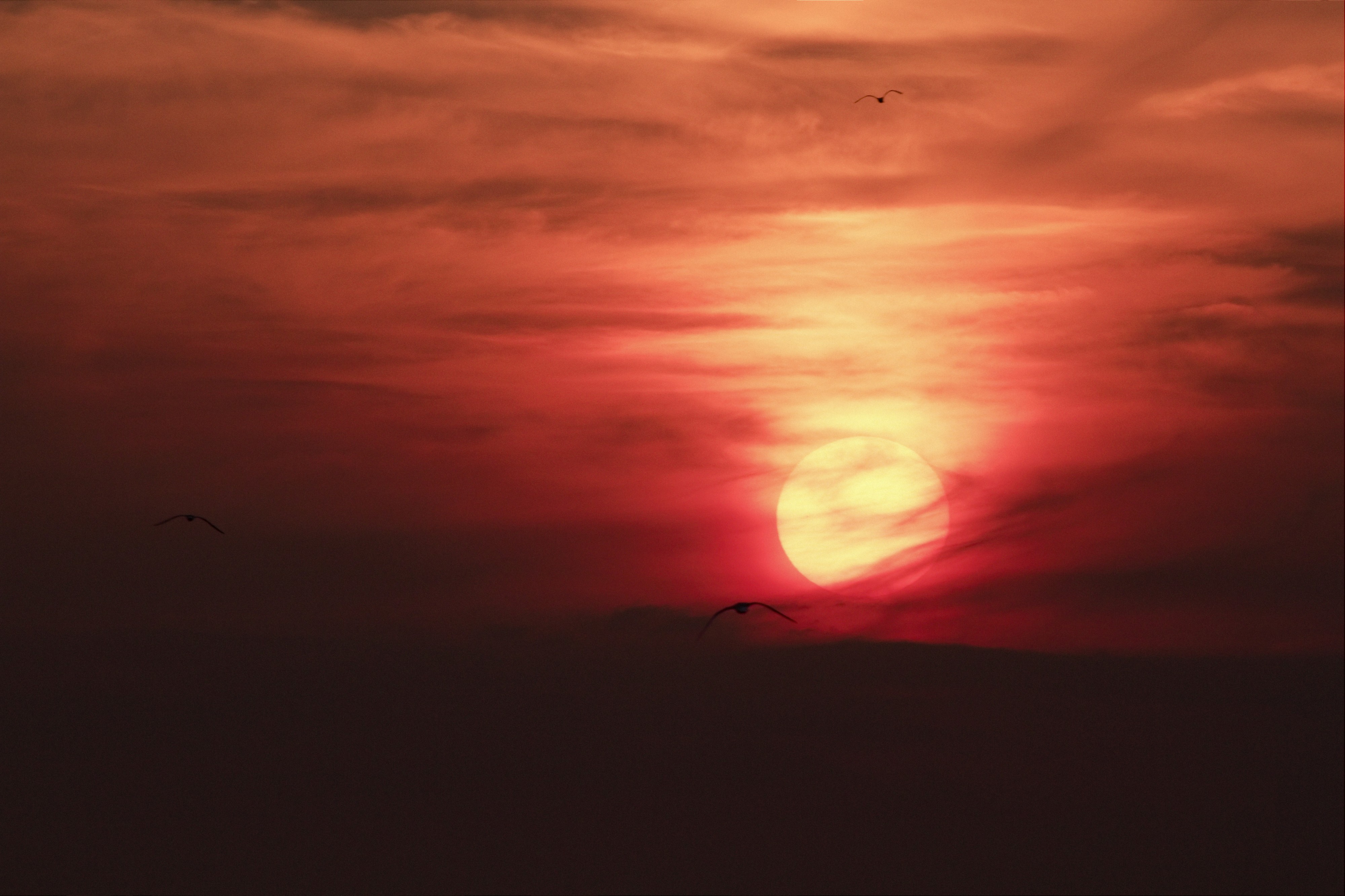 Journey to the sun (4747250490)