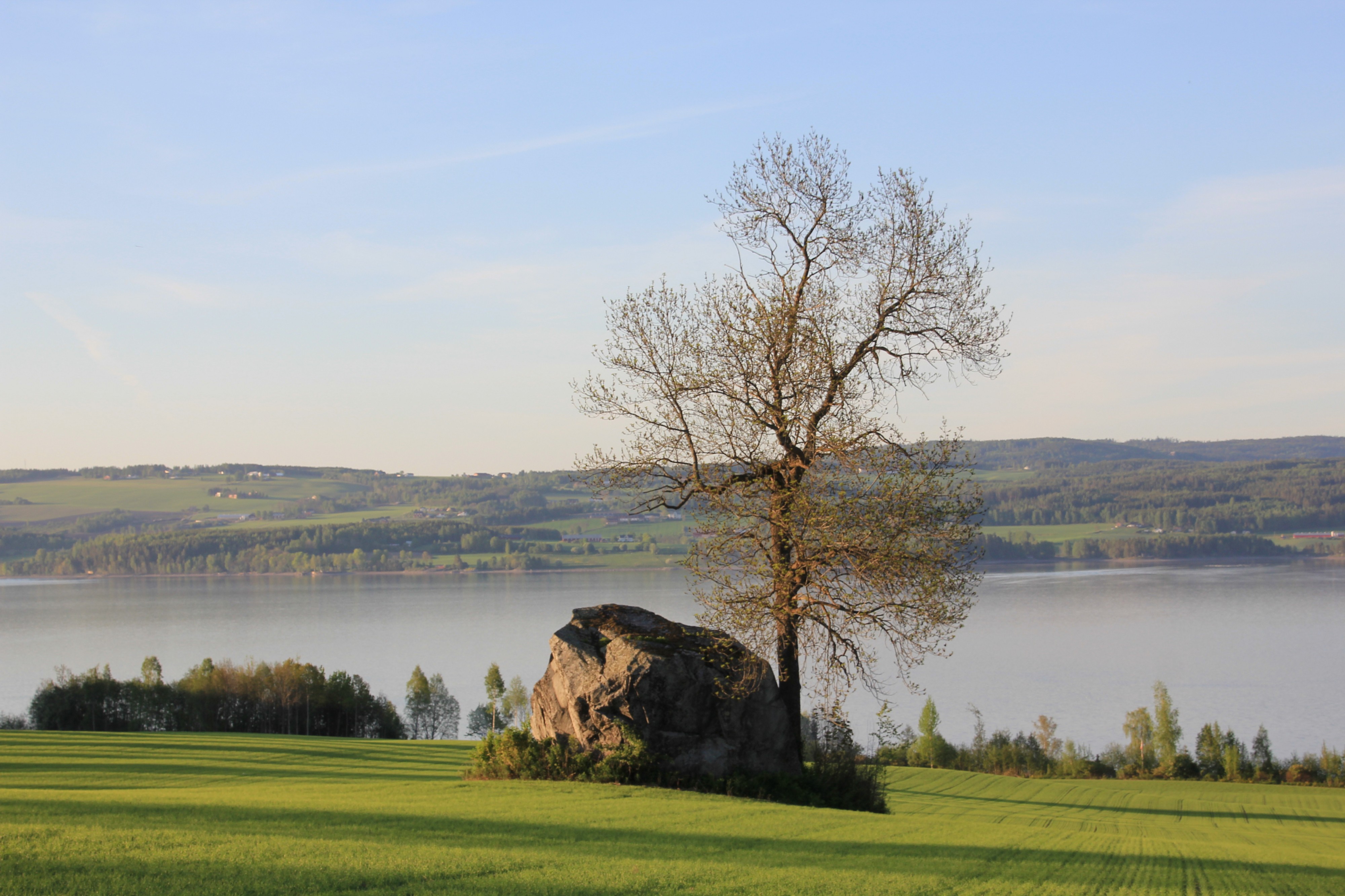 Kampestein ved Nordlia