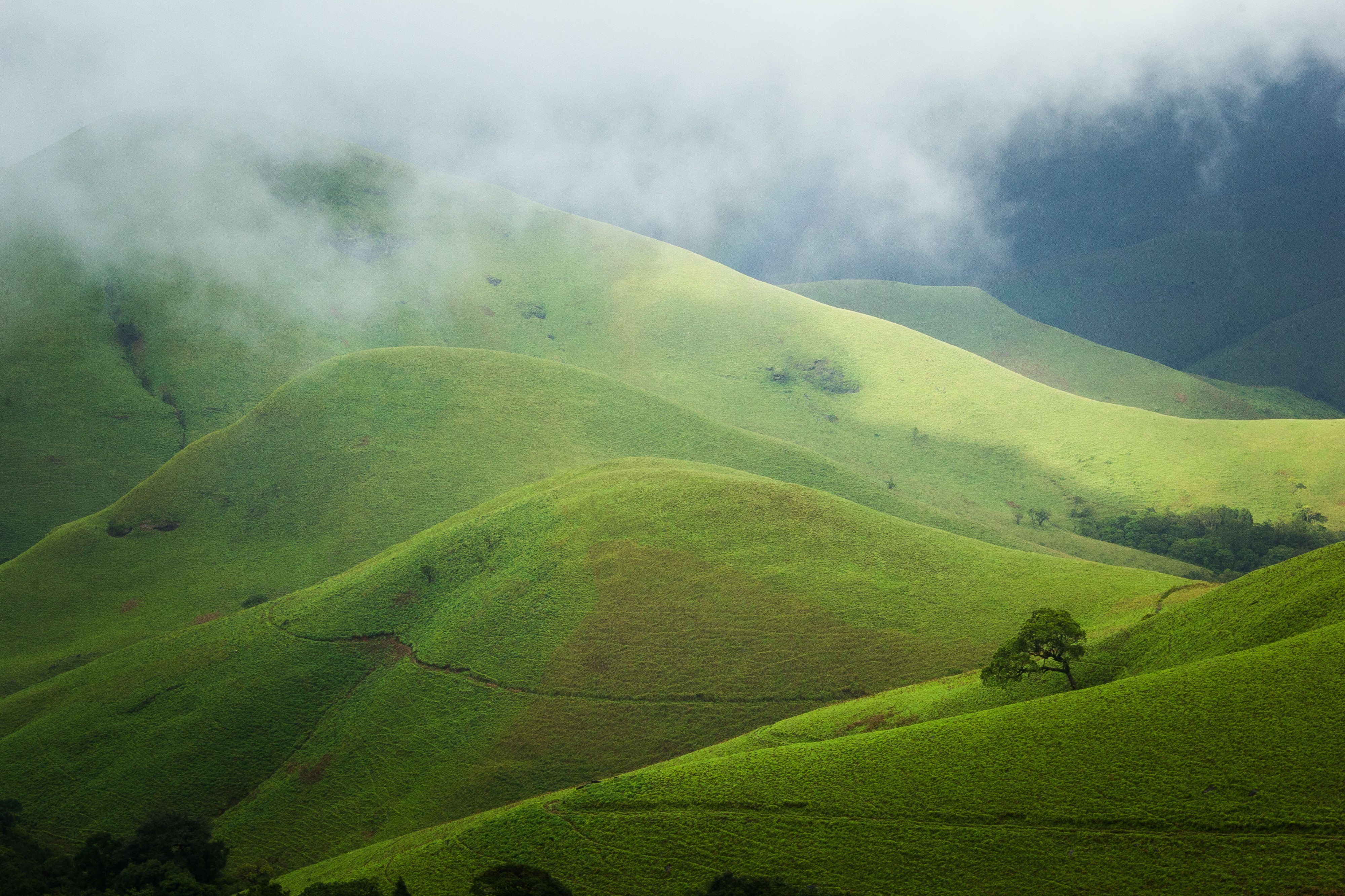 Kuduremukha-NationalPark Grassland