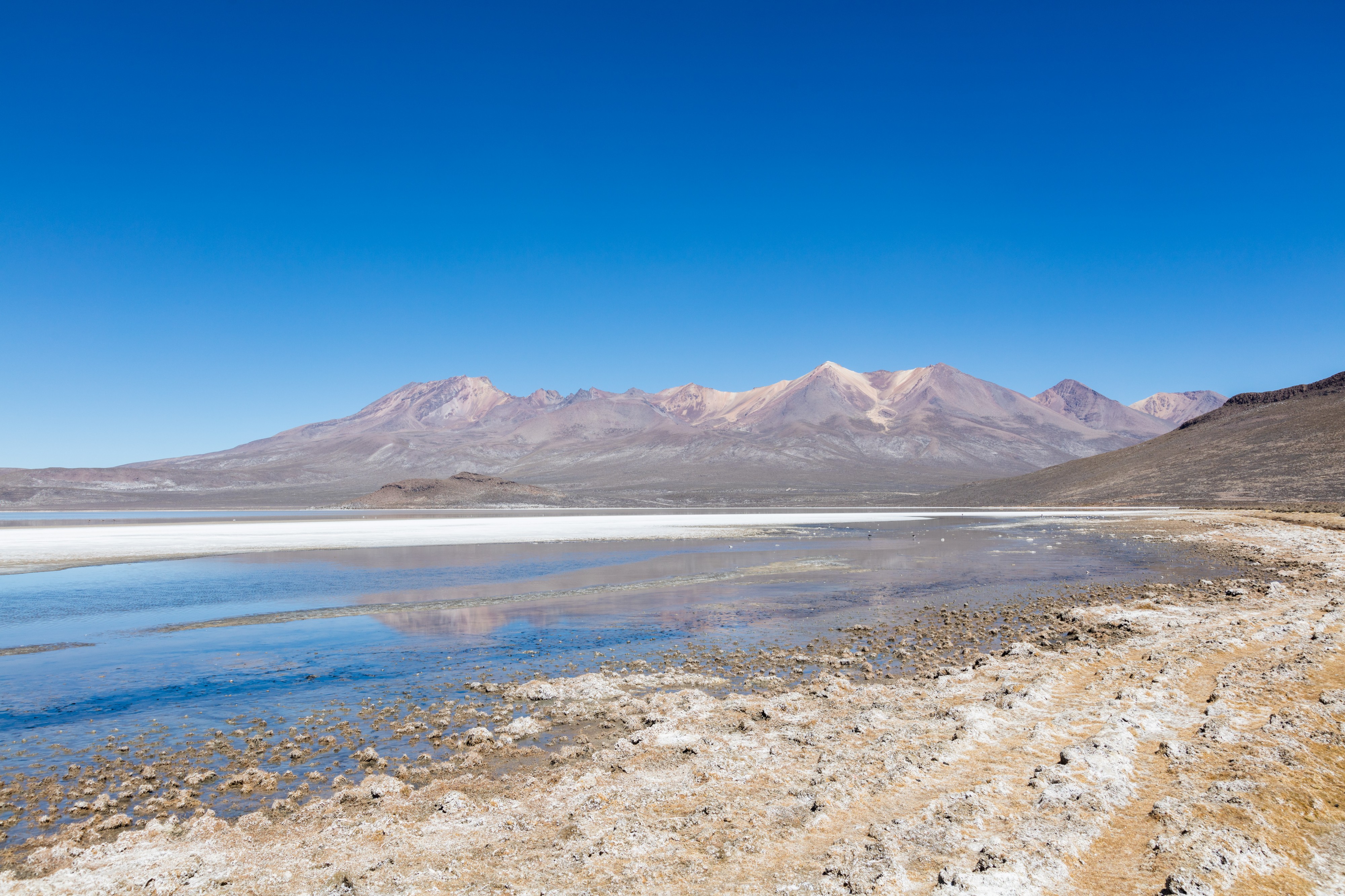Laguna de Salinas, Arequipa, Perú, 2015-08-02, DD 22