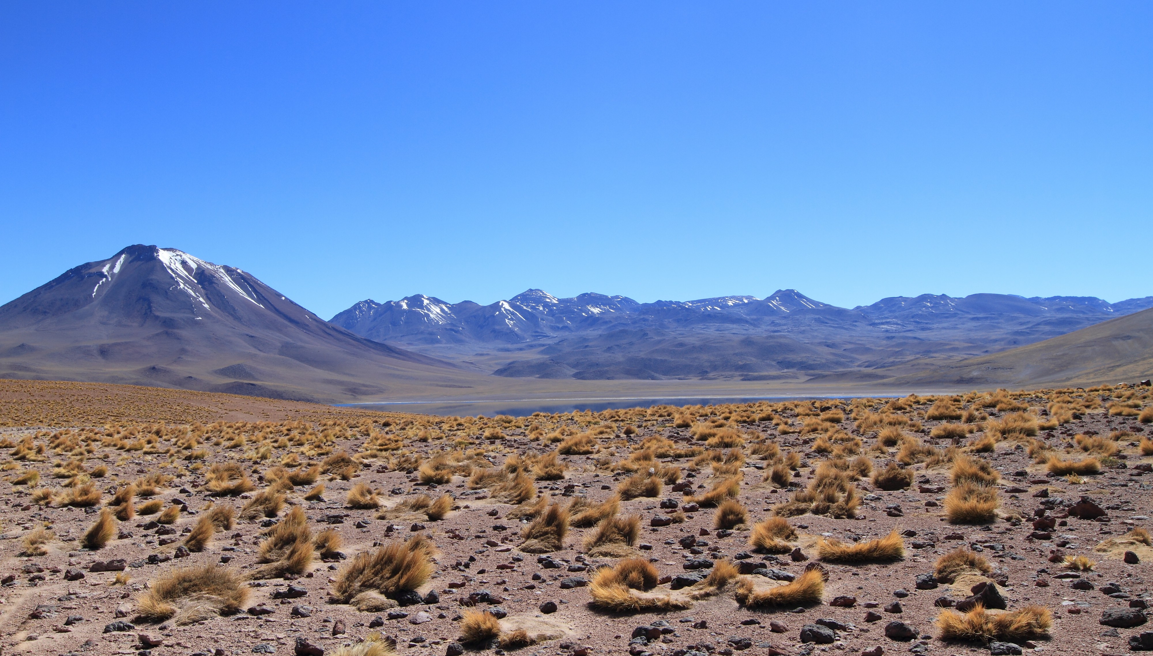 Laguna Miscanti by S. Rossi
