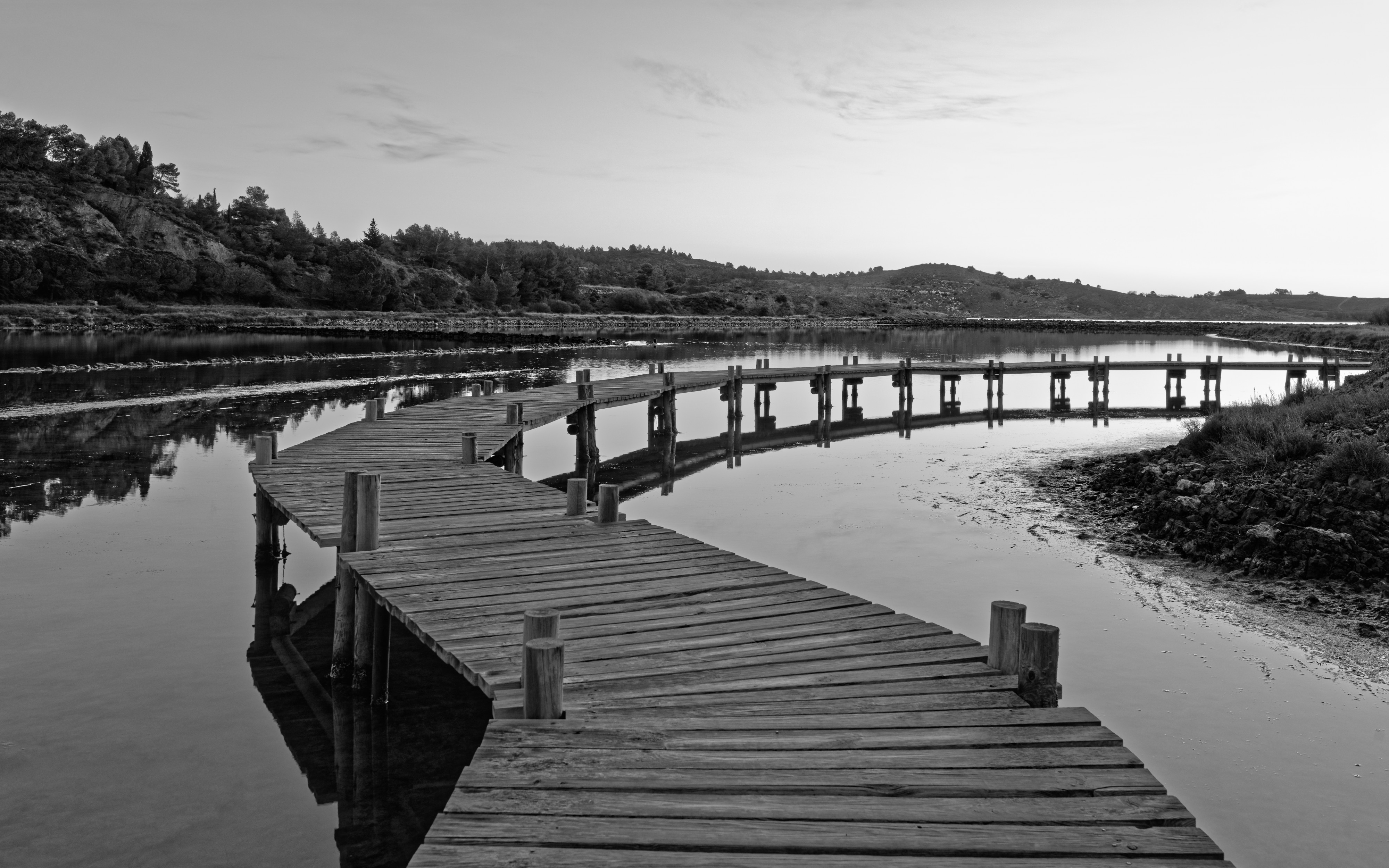 Landscape in Peyriac-de-Mer, february 2018 BW