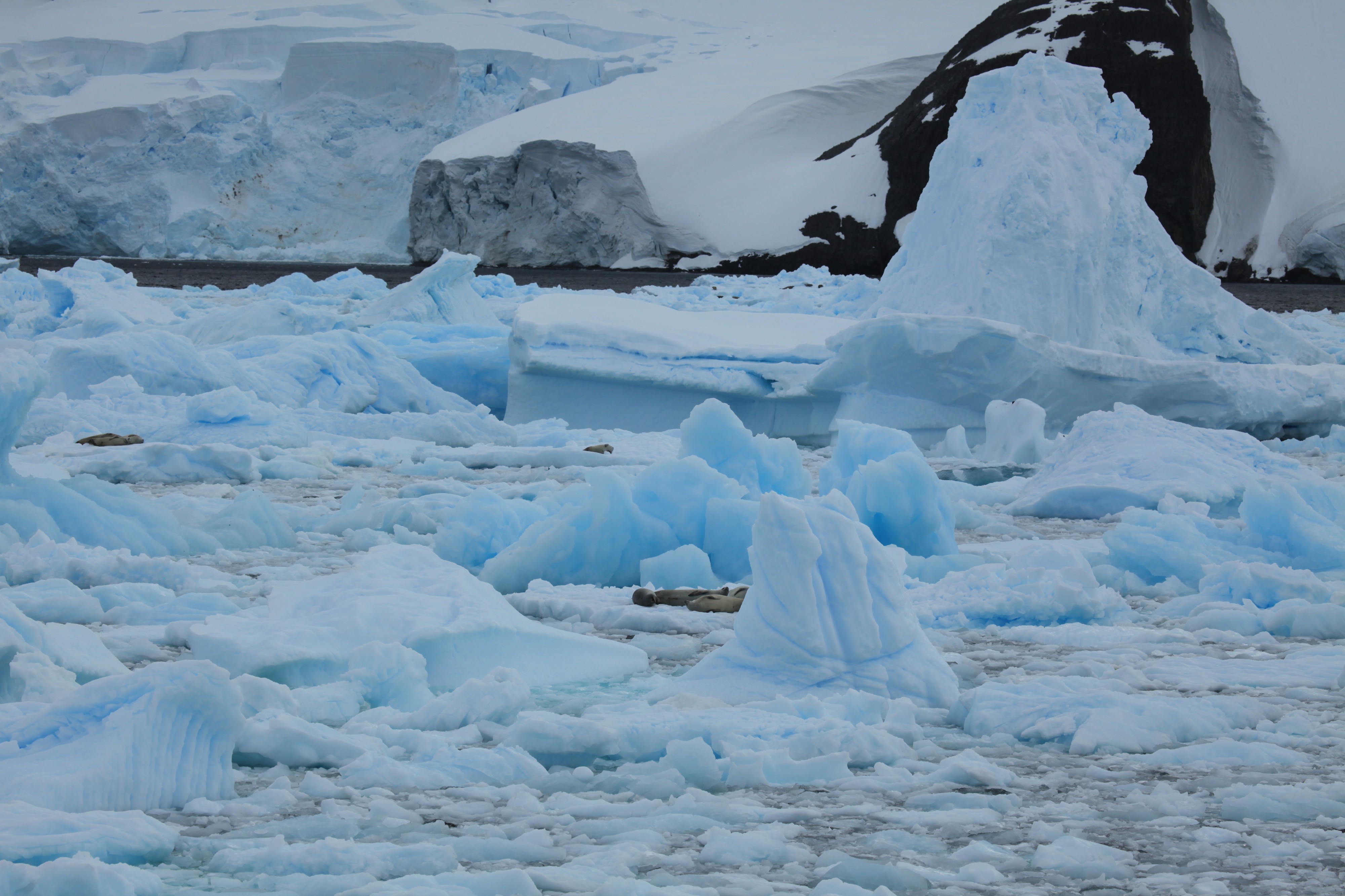 Lemaire Channel, Antarctica (6054706664)