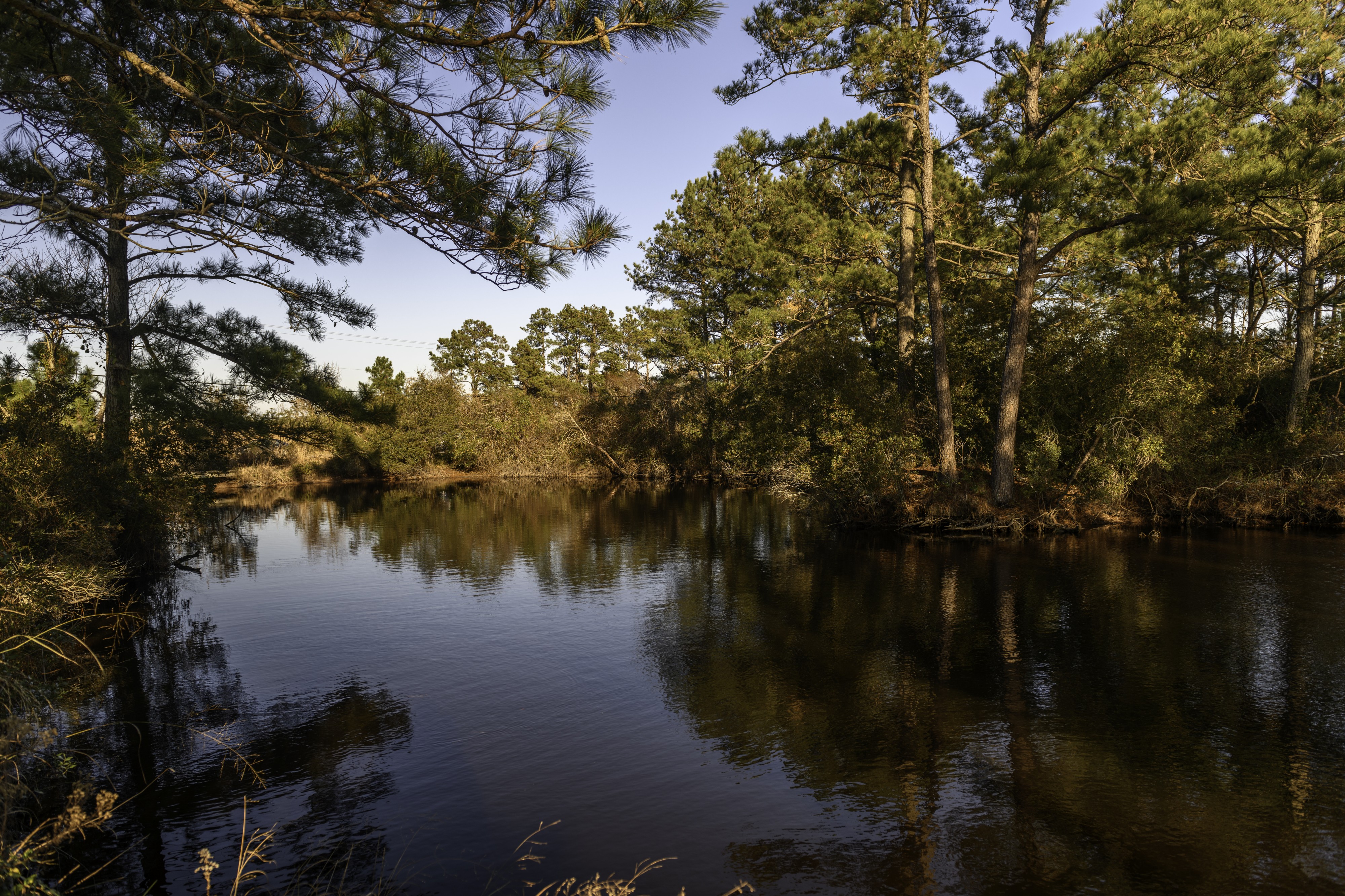 Mackay Island Wildlife Refuge 10 LR