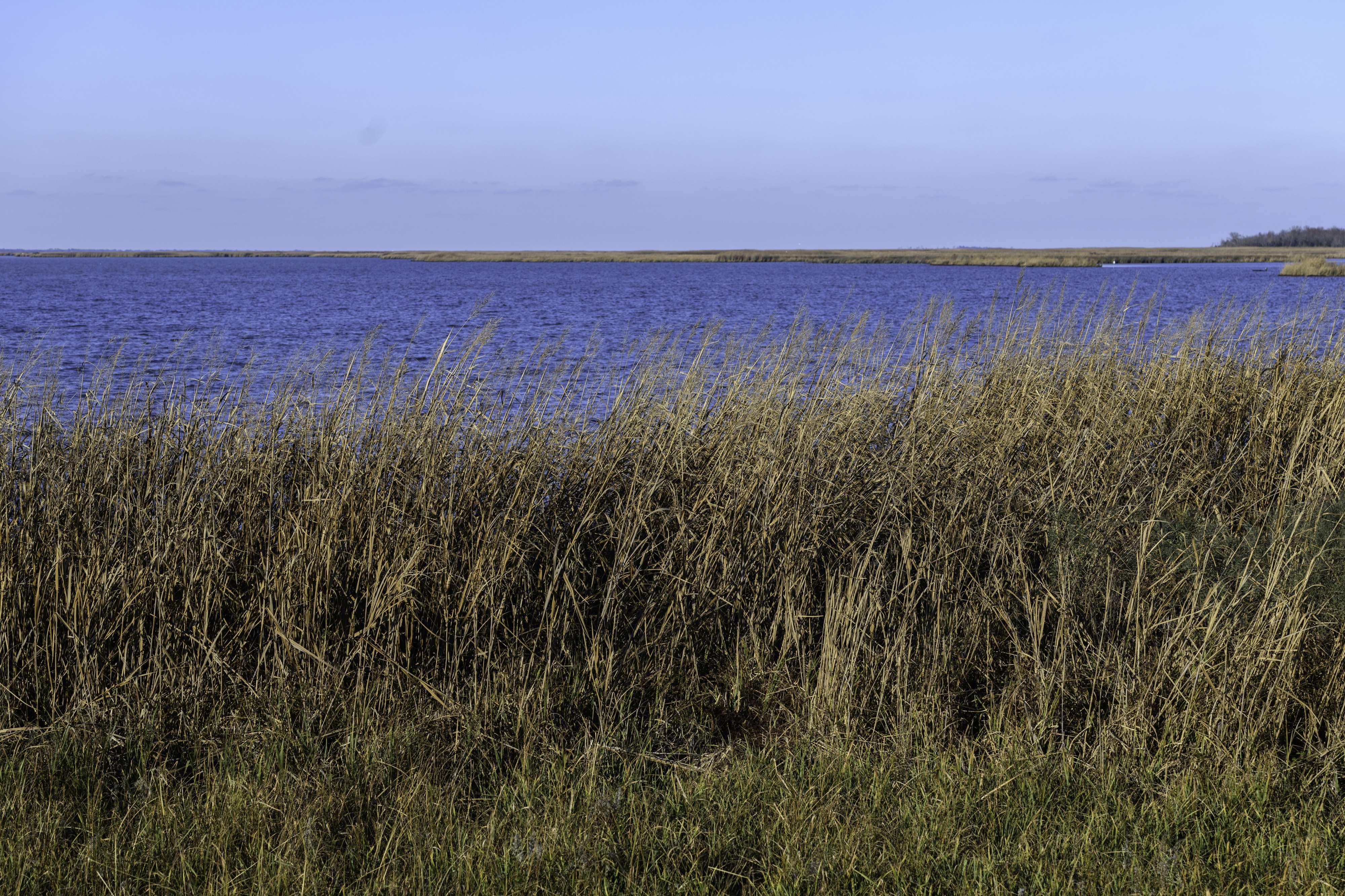 Mackay Island Wildlife Refuge 12 LR