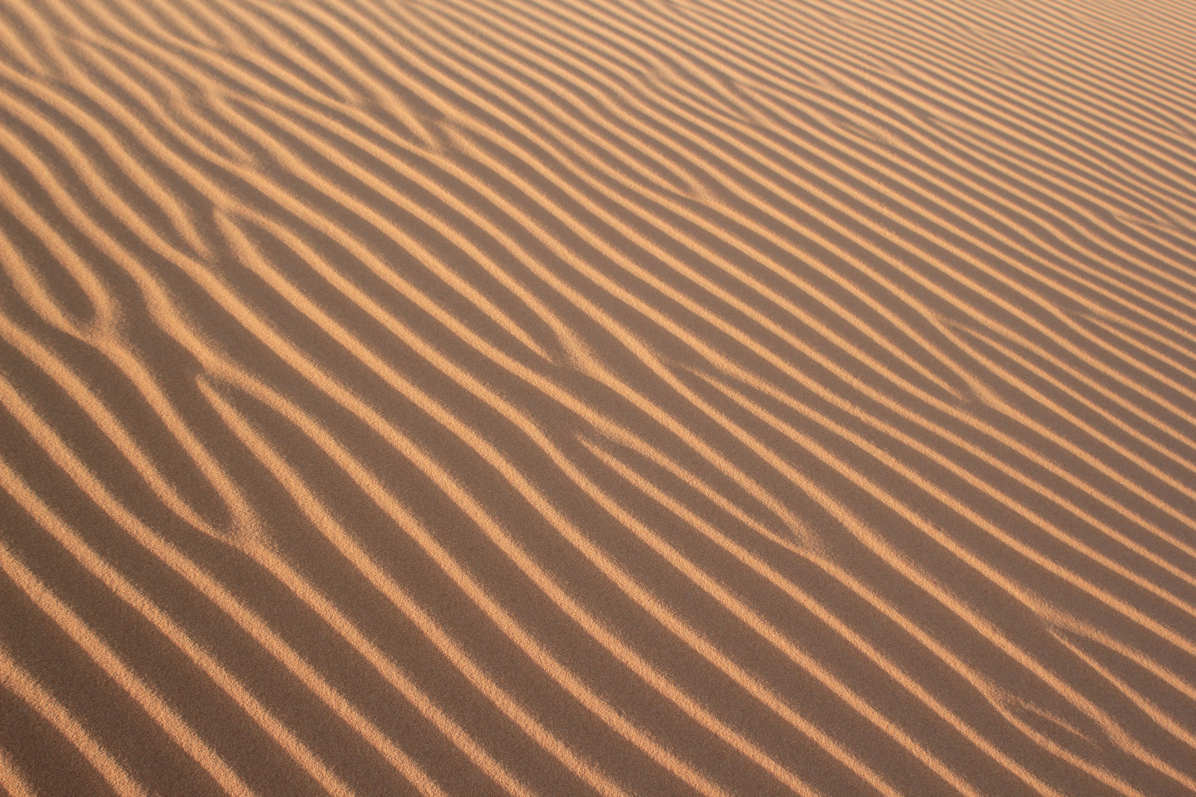 Merzouga20132
