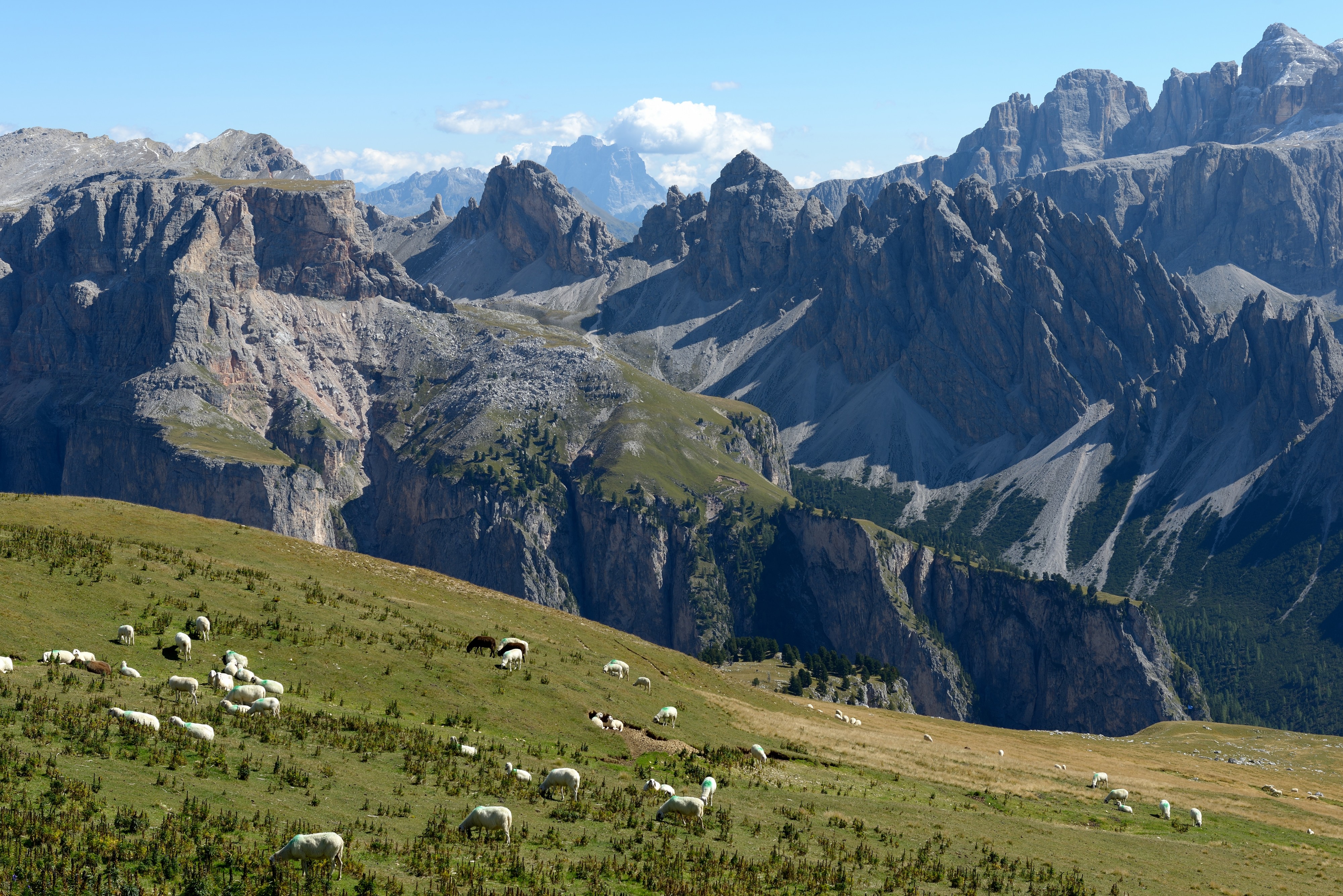 Mont de Seura, chedul y Cir Ciastel de chedul
