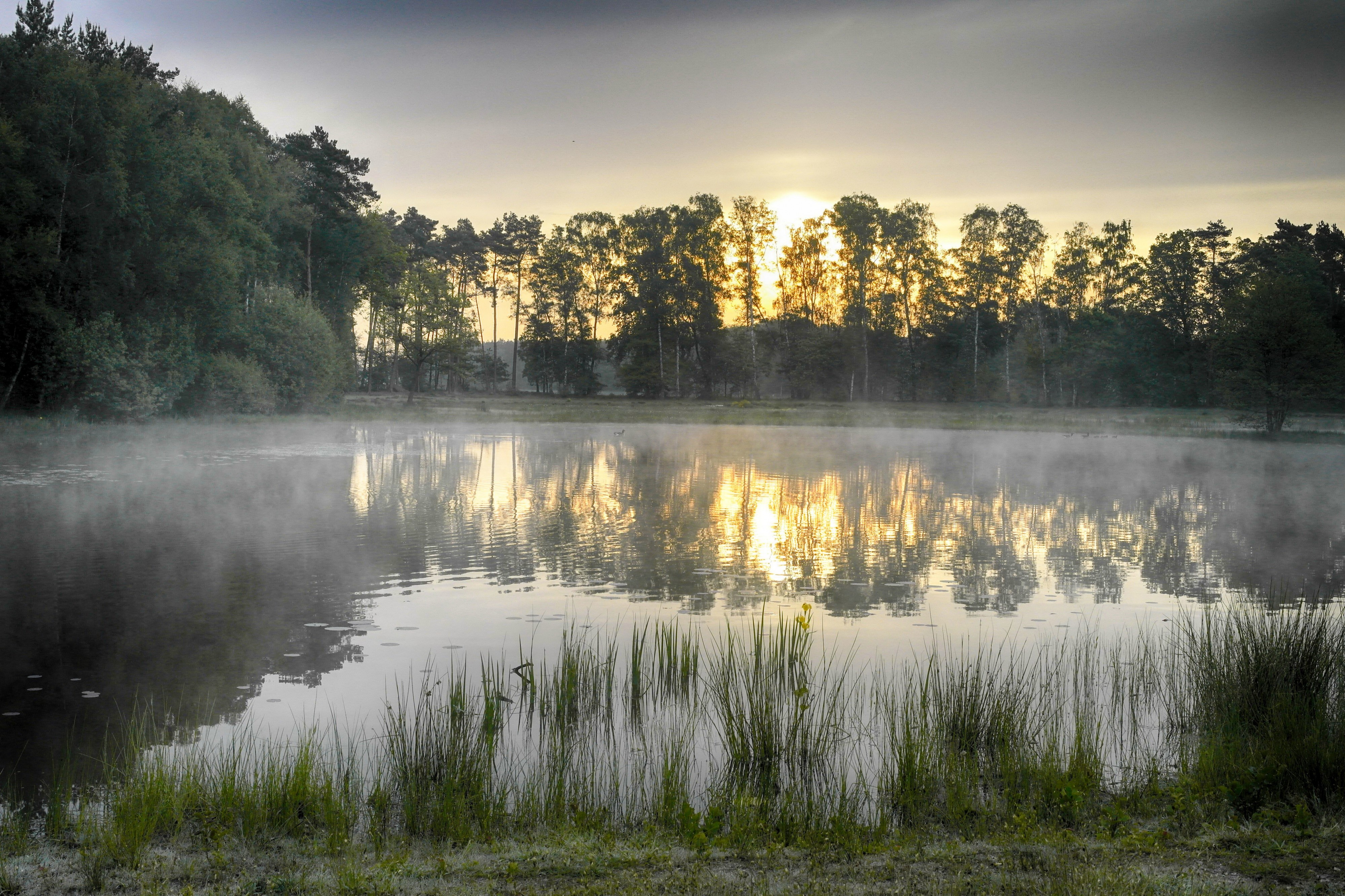 Morgengrauen