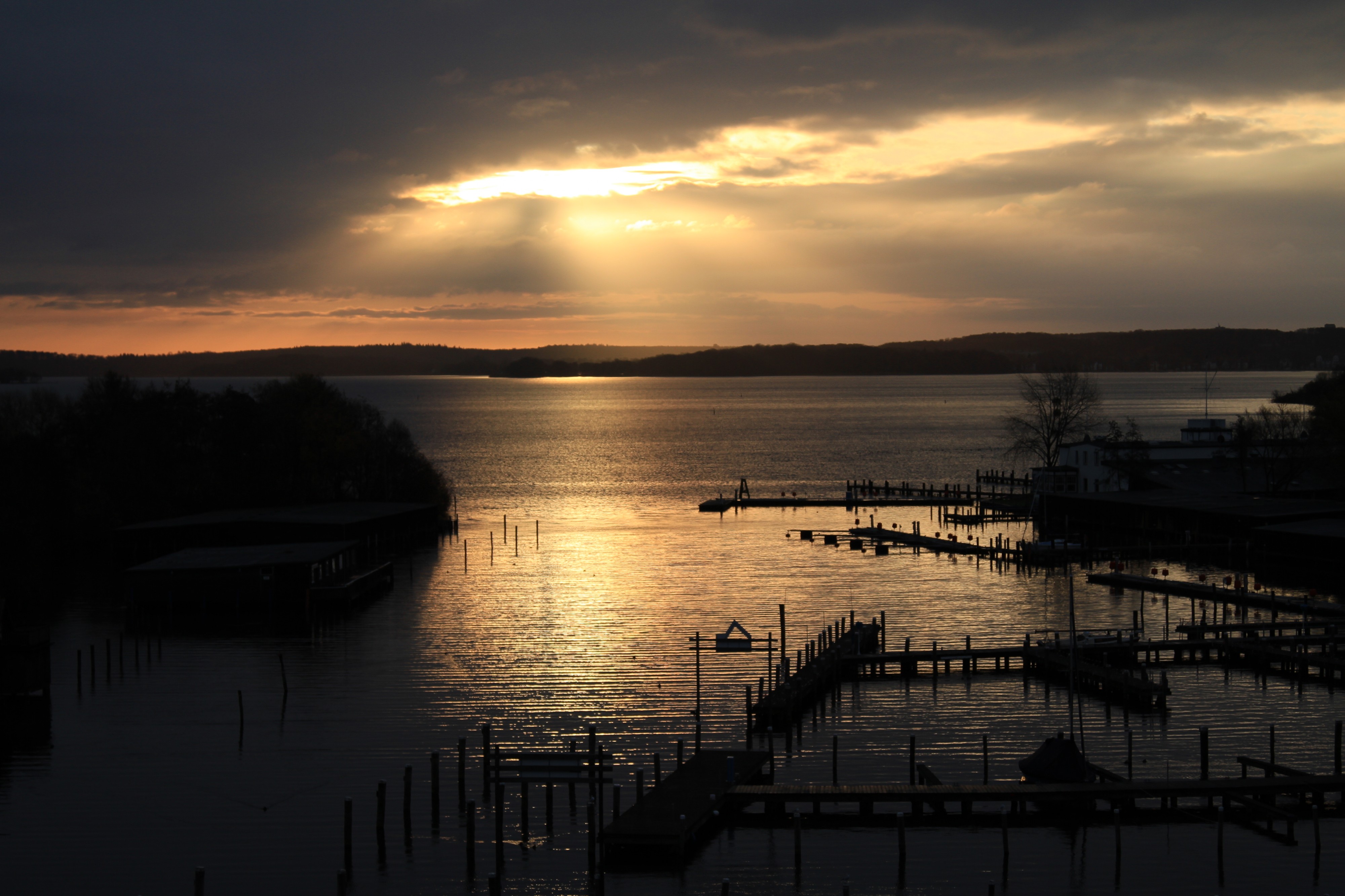 Morning Light (4105397660)