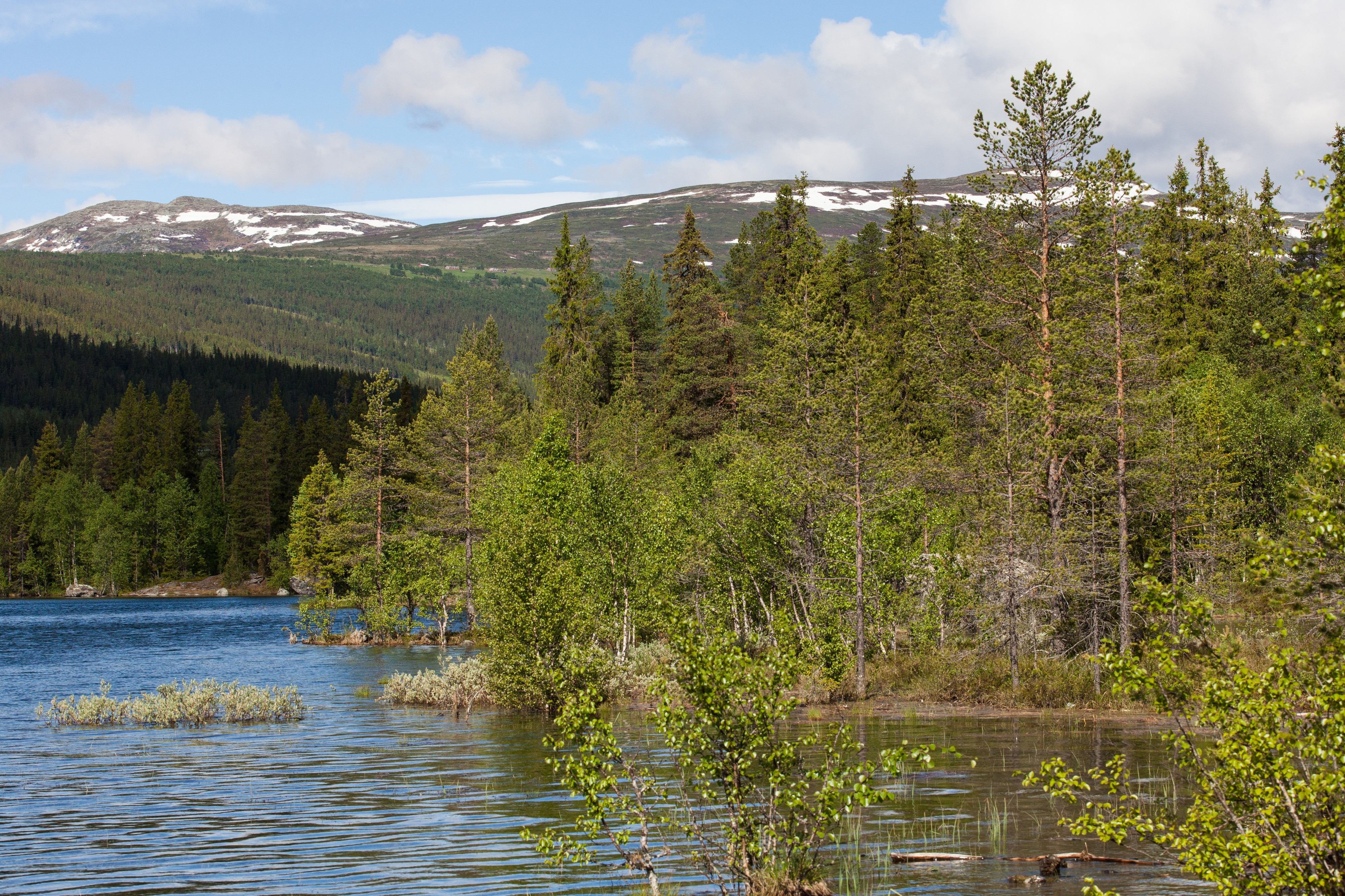 a Norway landscape, June 2014, picture 2