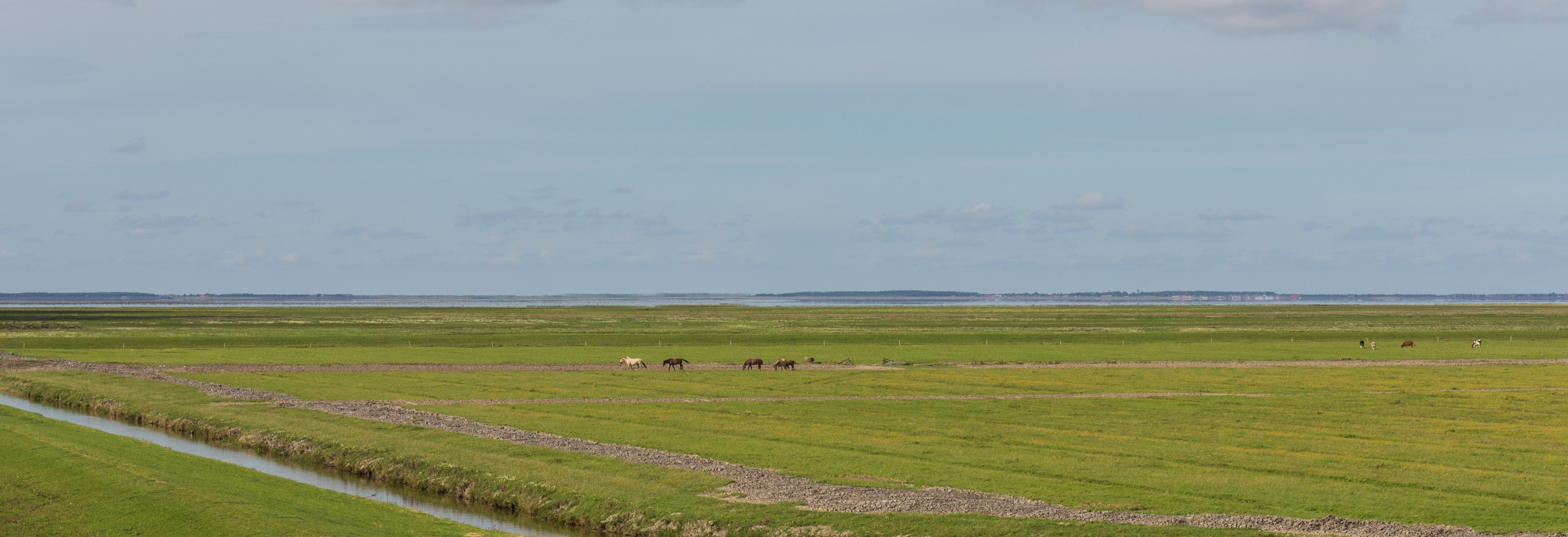 Panorama vanaf de dijk. Locatie Noarderleech 02