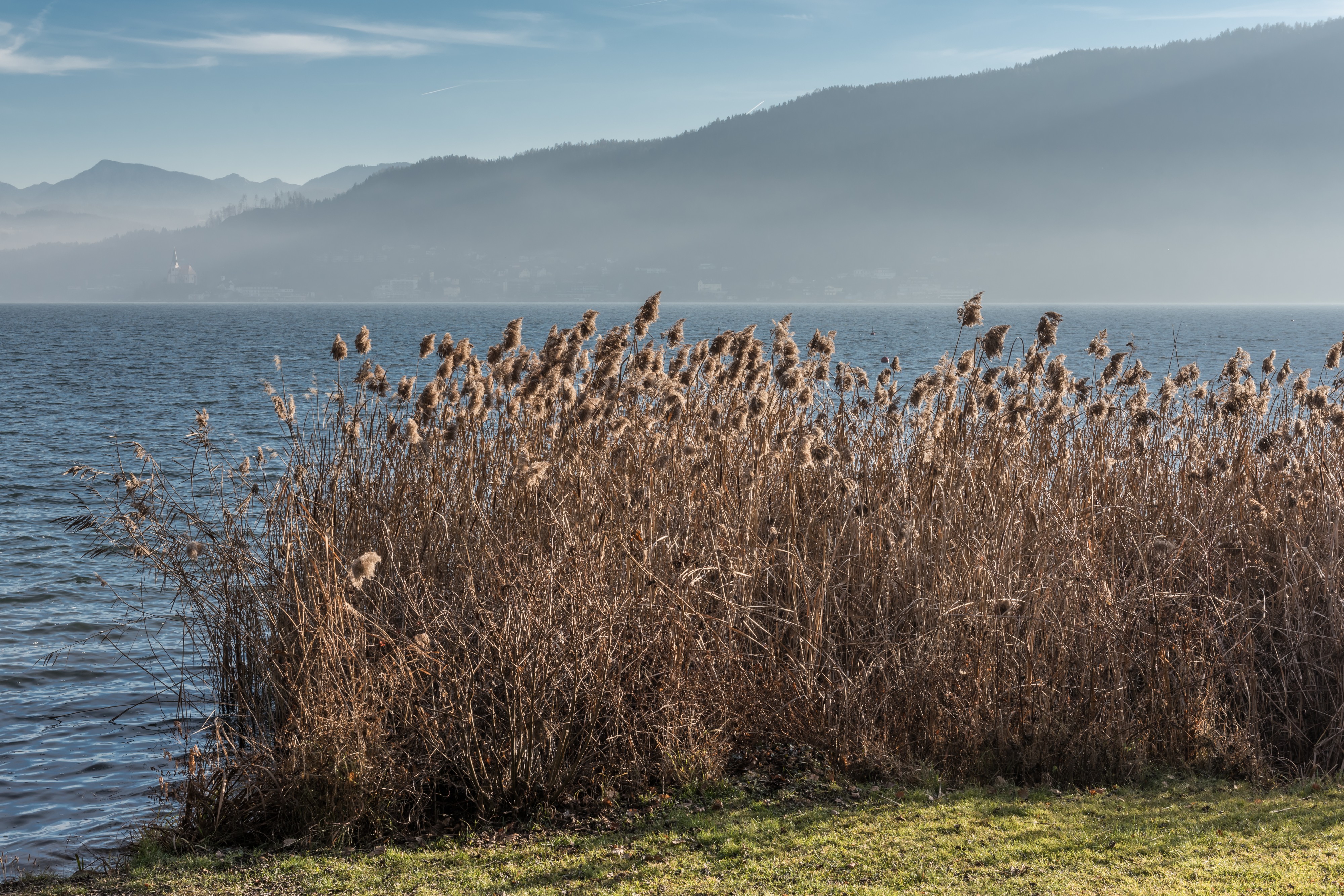 Poertschach Halbinselpromenade Roehricht und Seeblick nach Maria Woerth 26122016 5857