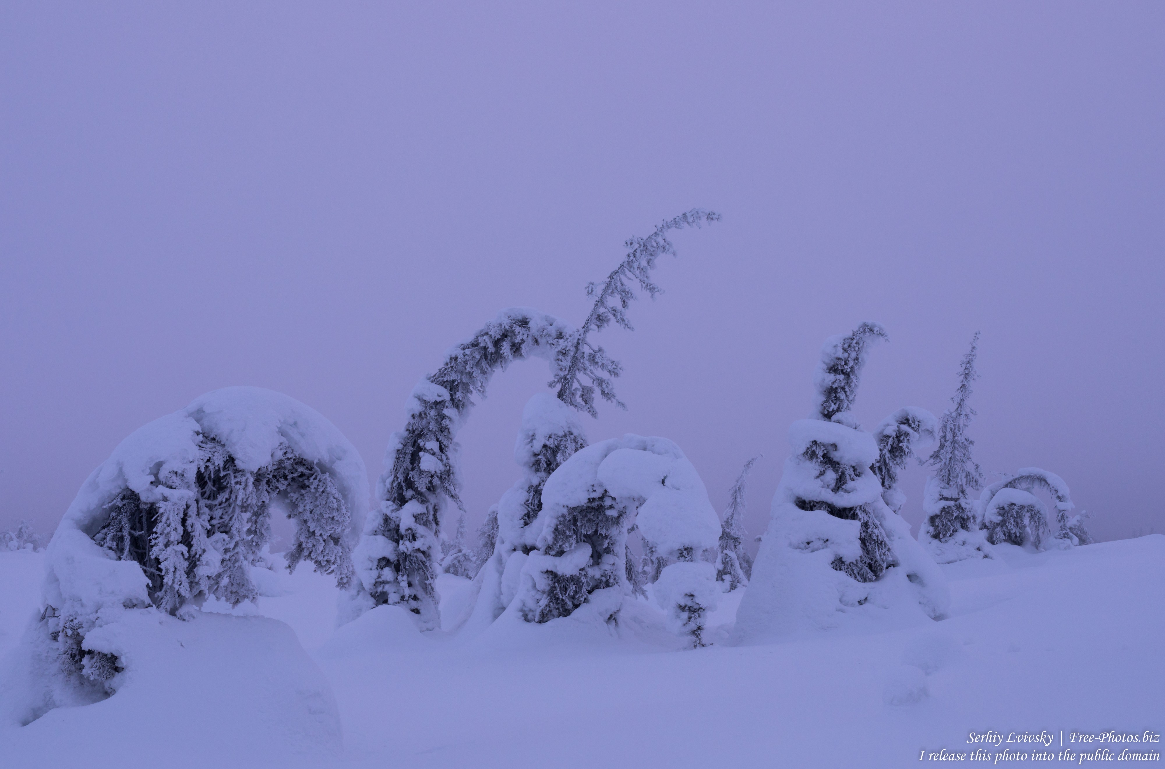 Riisitunturi, Finland, photographed in January 2020 by Serhiy Lvivsky, picture 1