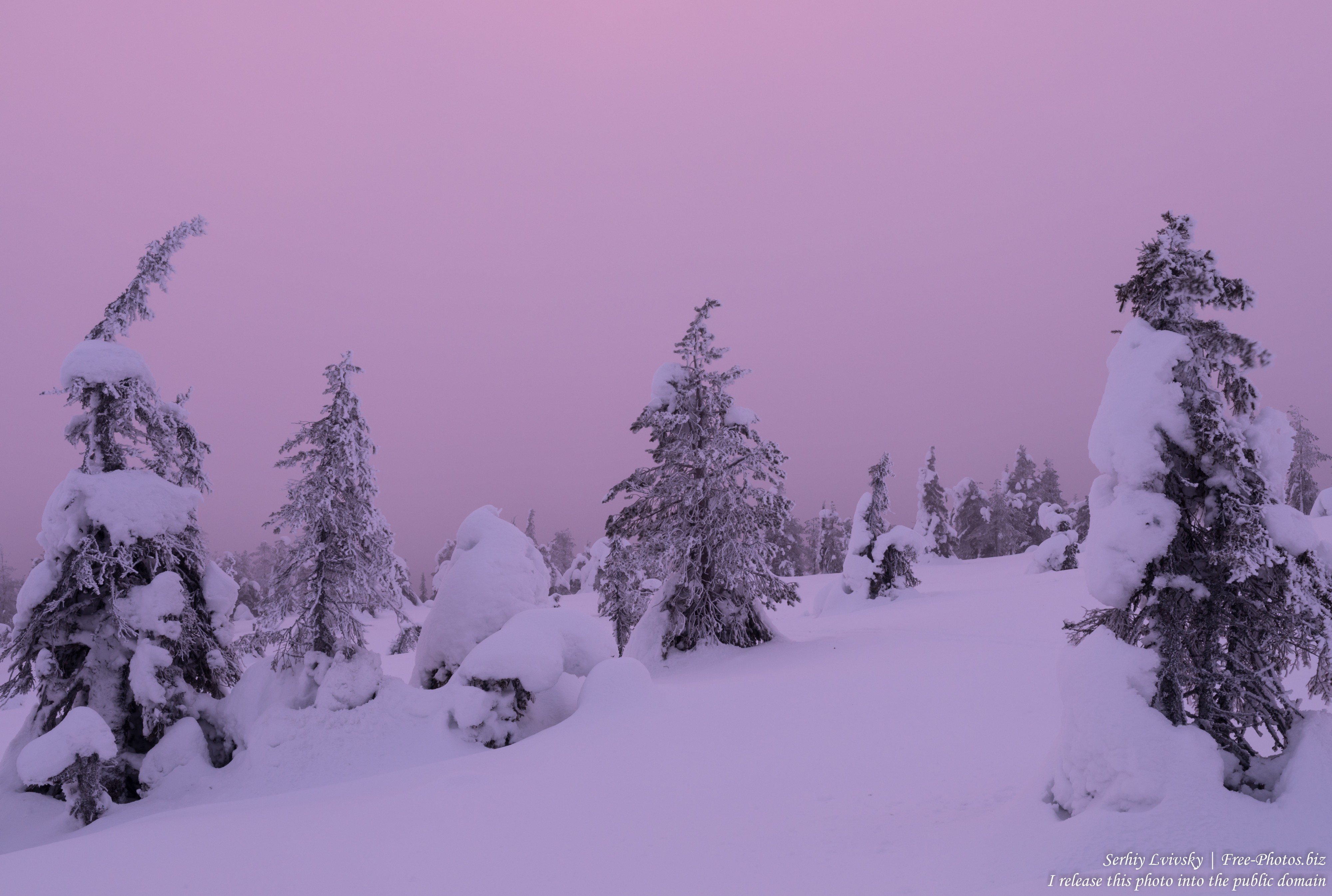 Riisitunturi, Finland, photographed in January 2020 by Serhiy Lvivsky, picture 6