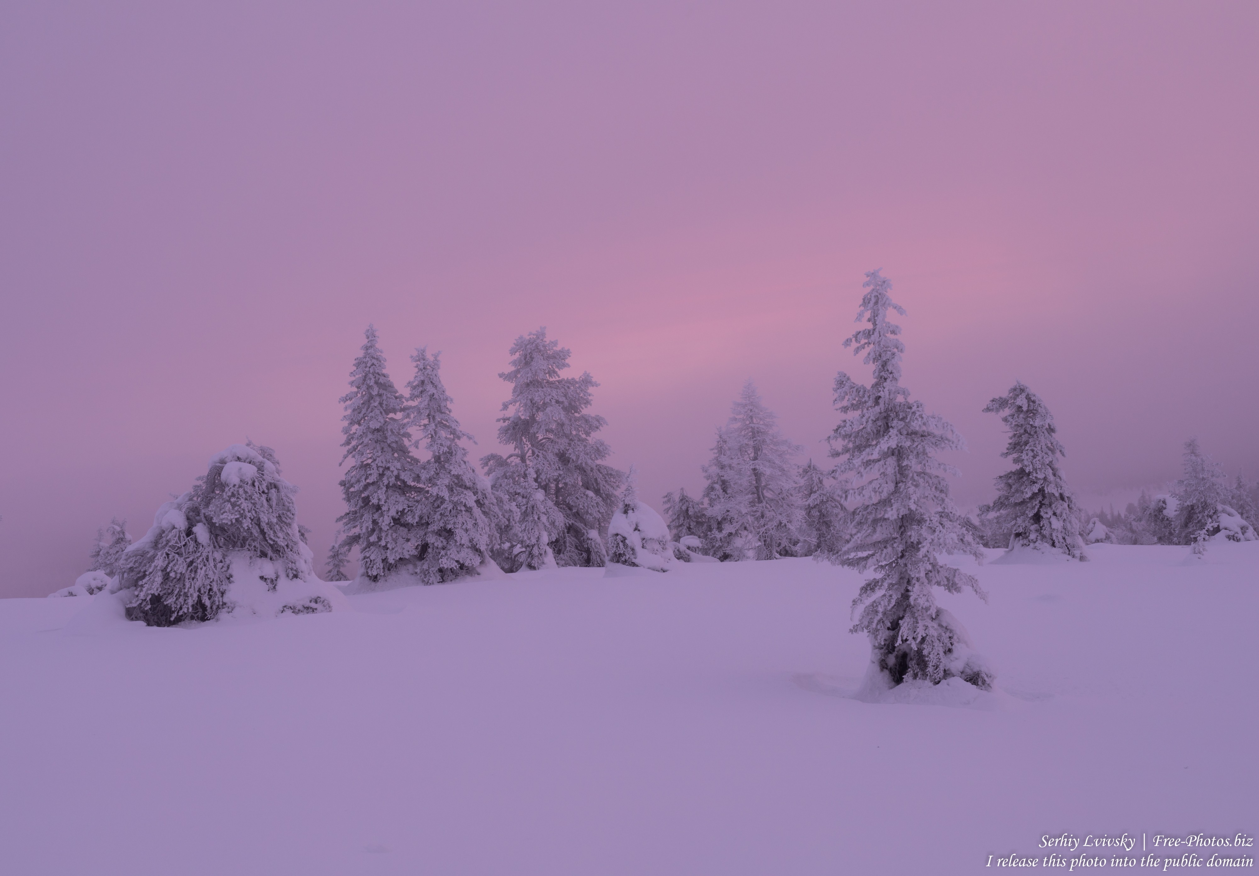 Riisitunturi, Finland, photographed in January 2020 by Serhiy Lvivsky, picture 10