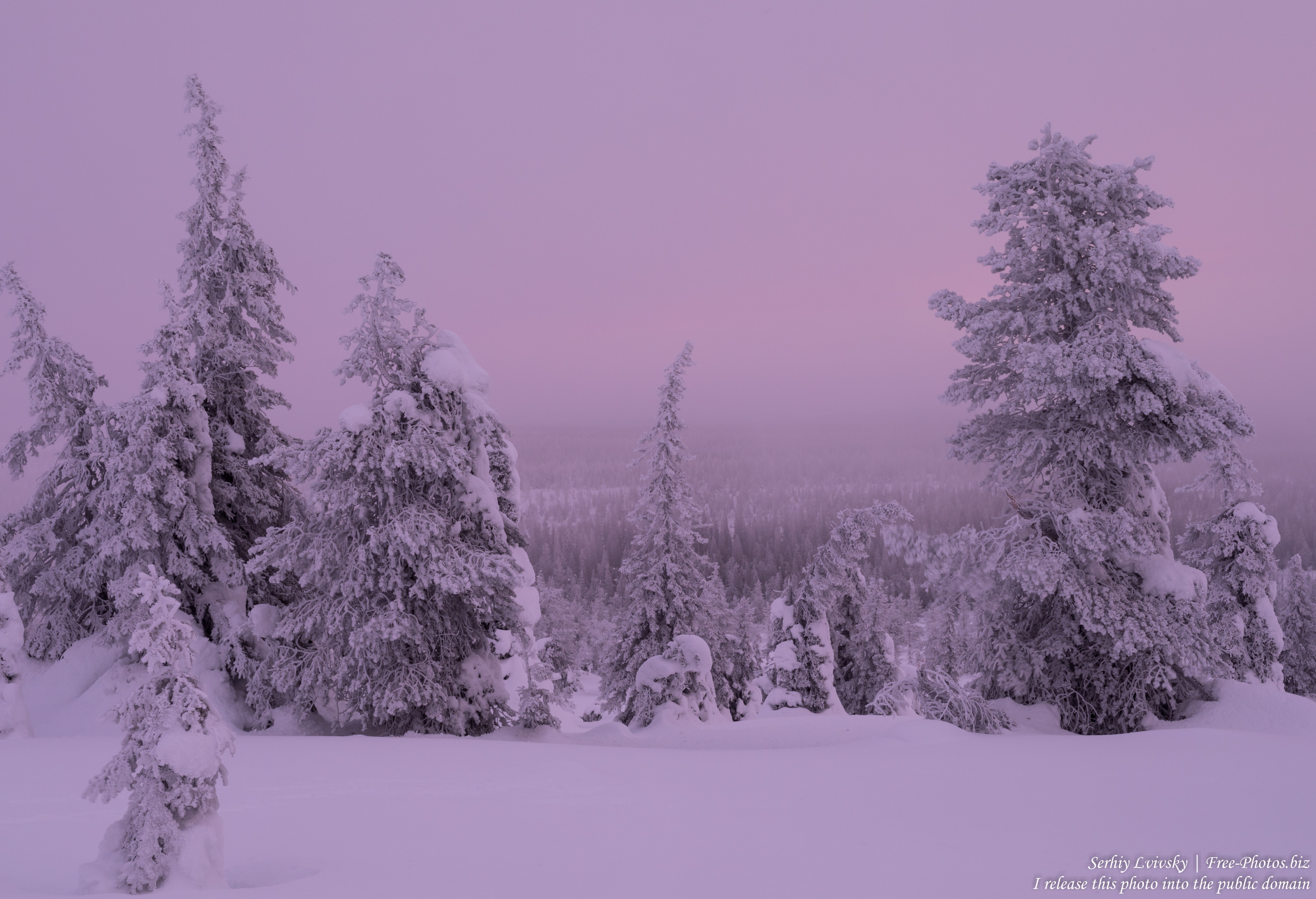 Riisitunturi, Finland, photographed in January 2020 by Serhiy Lvivsky, picture 12