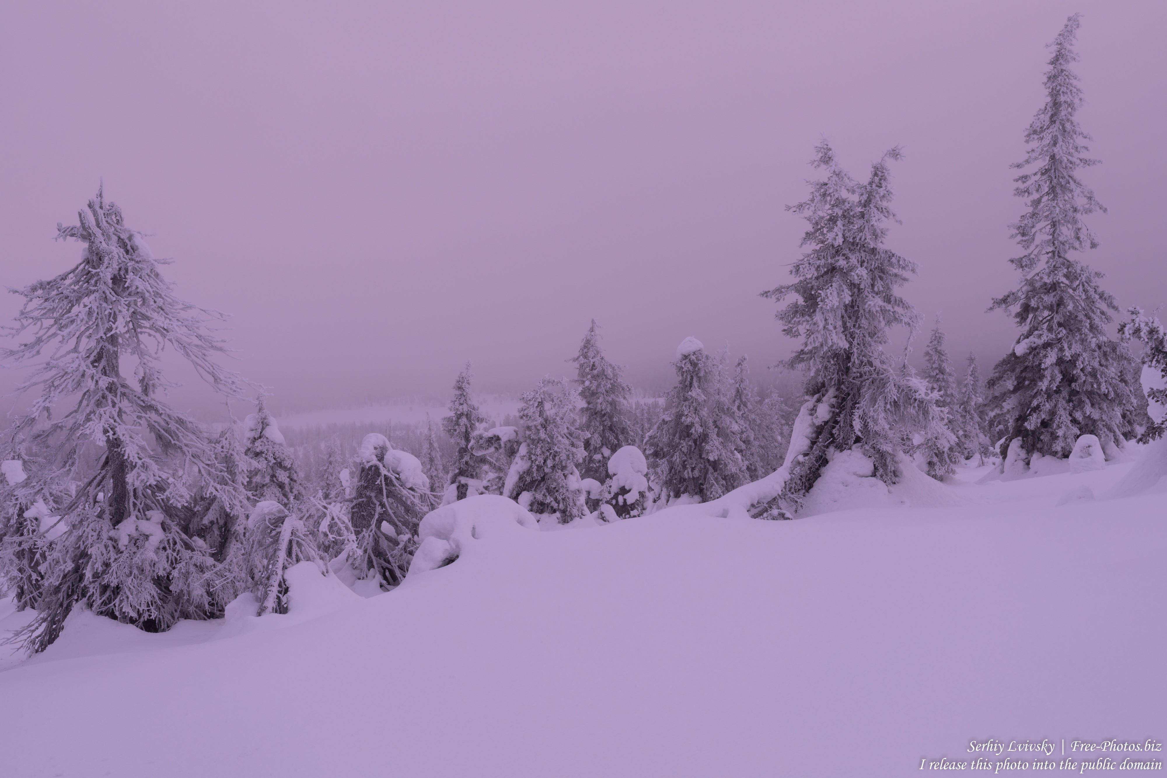 Riisitunturi, Finland, photographed in January 2020 by Serhiy Lvivsky, picture 13