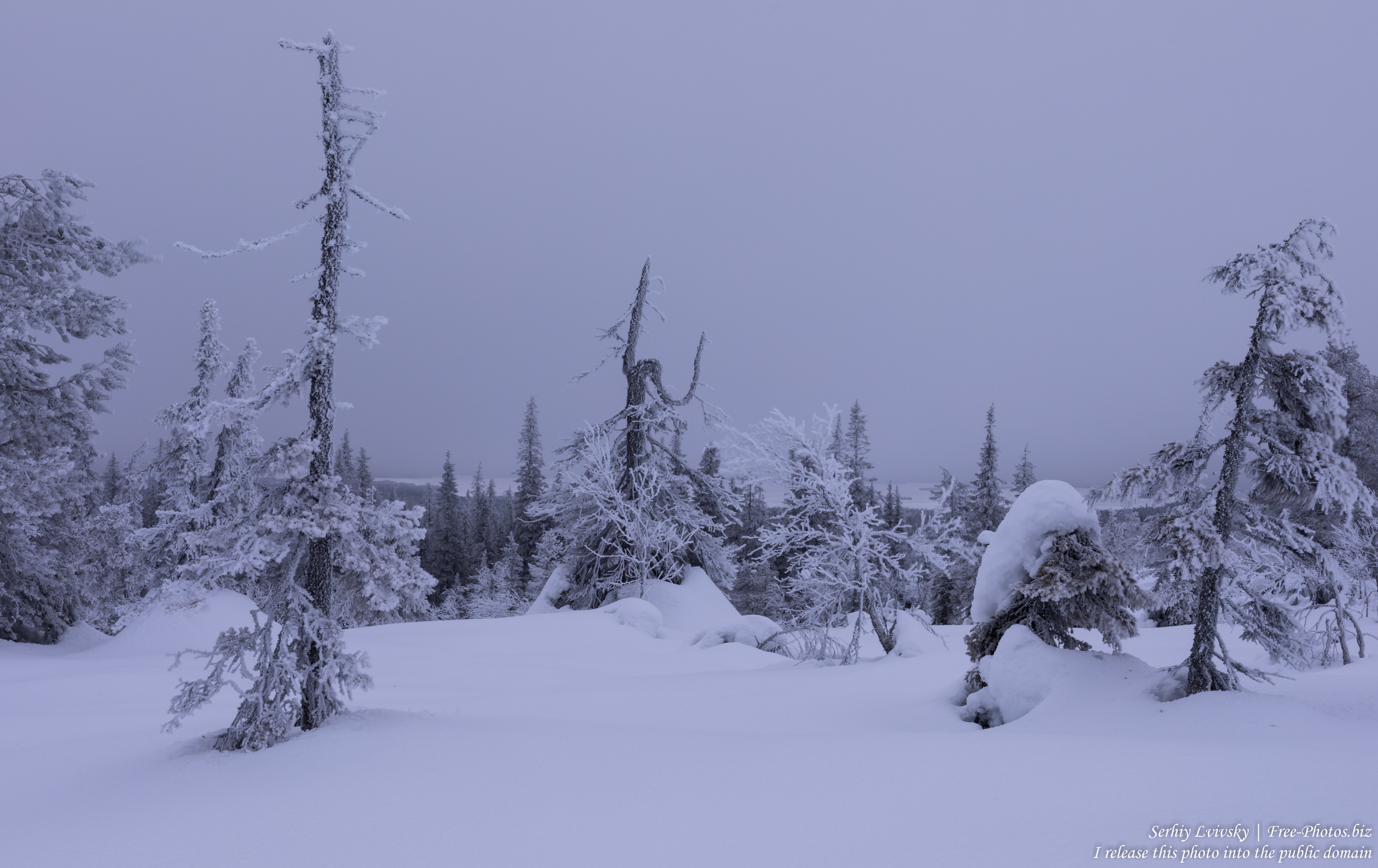 Riisitunturi, Finland, photographed in January 2020 by Serhiy Lvivsky, picture 14