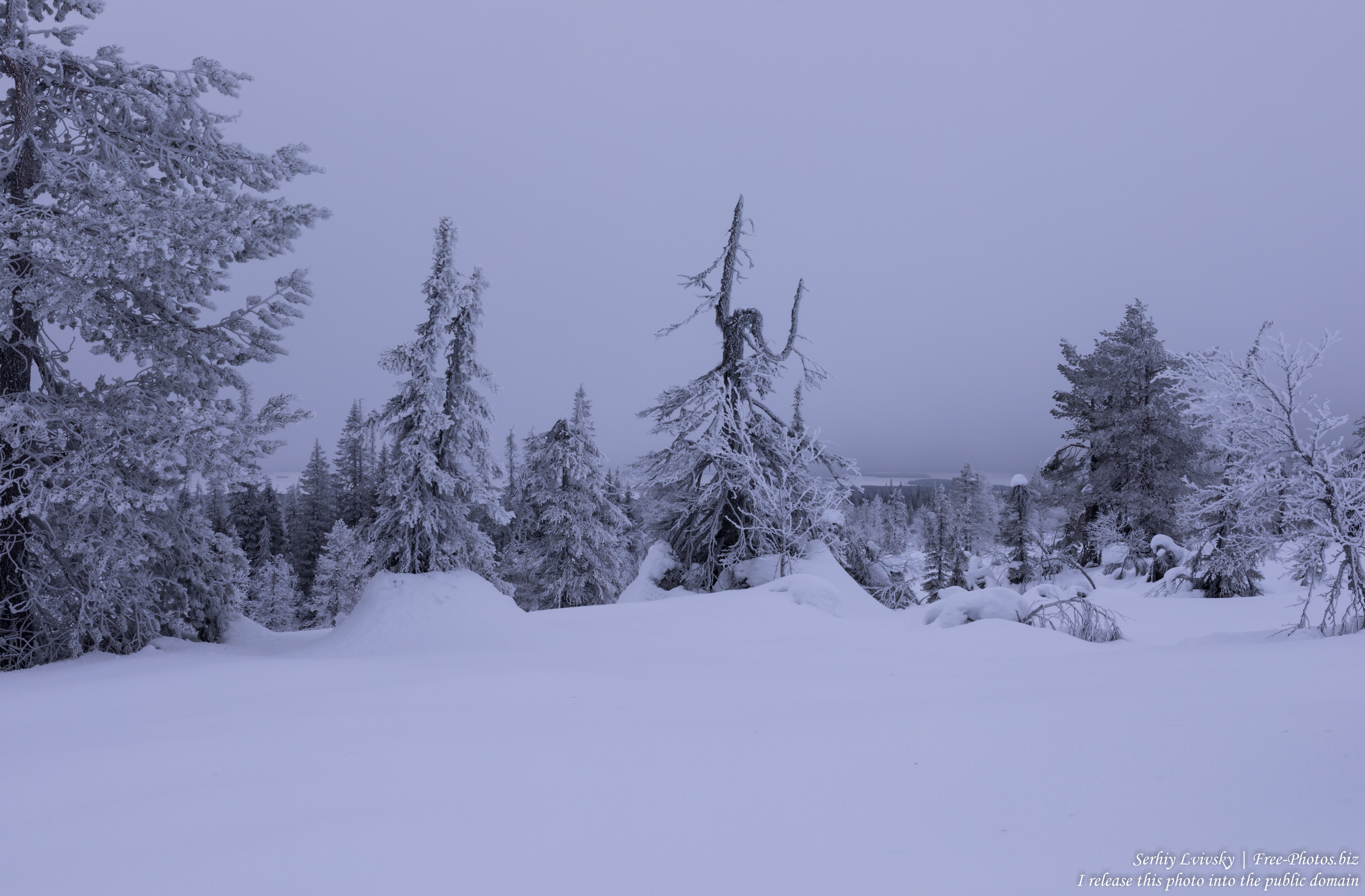 Riisitunturi, Finland, photographed in January 2020 by Serhiy Lvivsky, picture 15