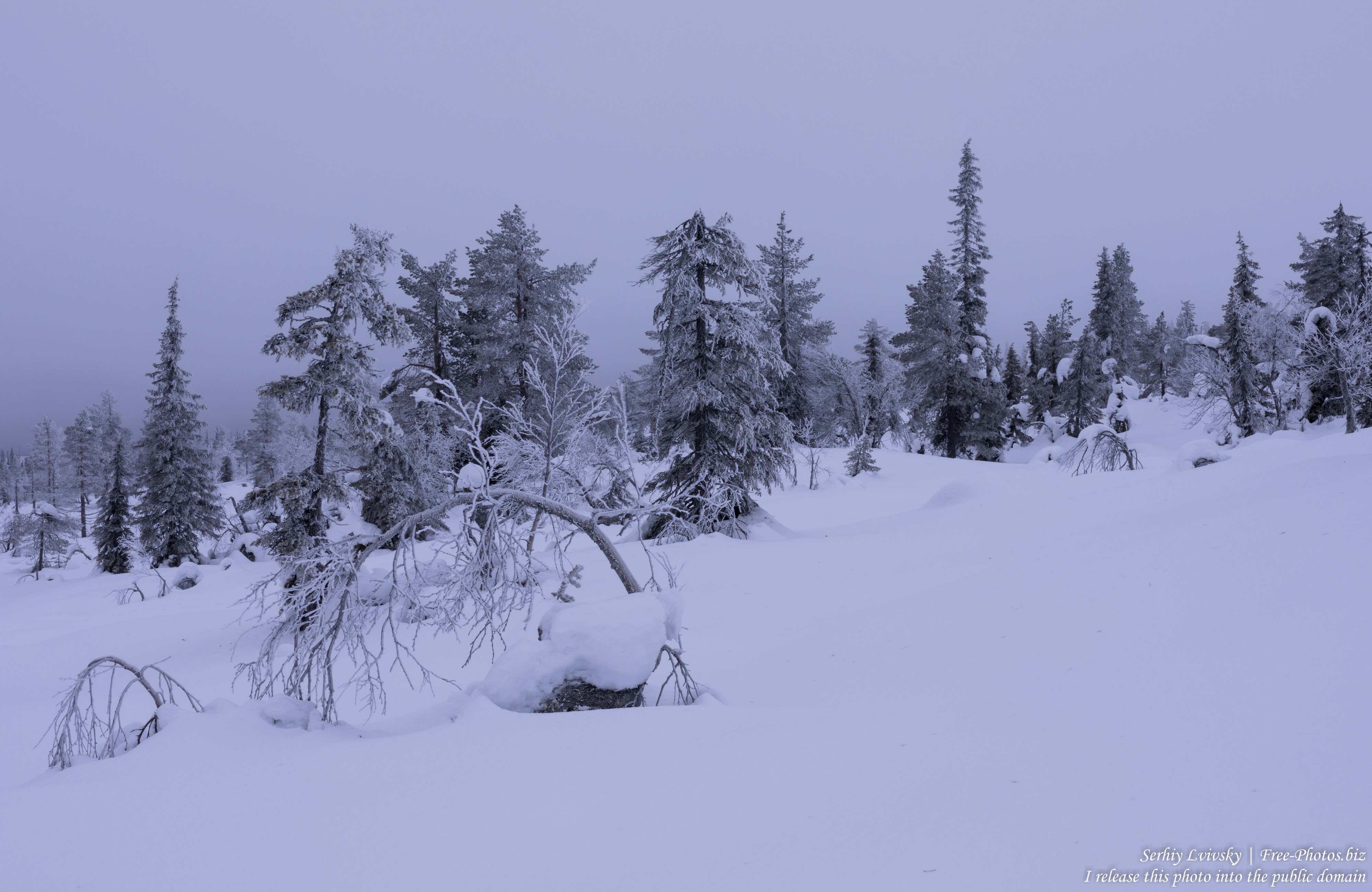 Riisitunturi, Finland, photographed in January 2020 by Serhiy Lvivsky, picture 16