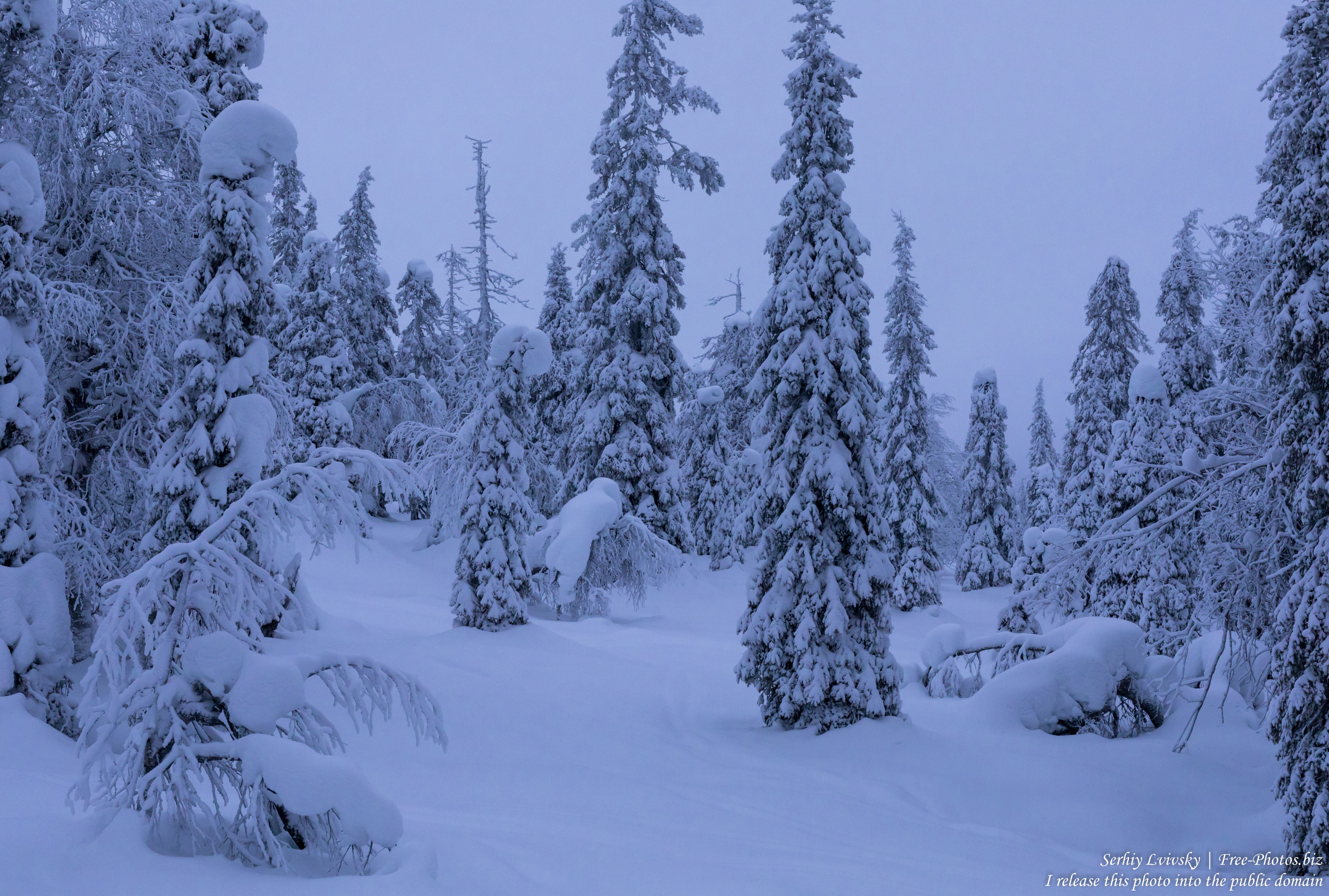 Riisitunturi, Finland, photographed in January 2020 by Serhiy Lvivsky, picture 21